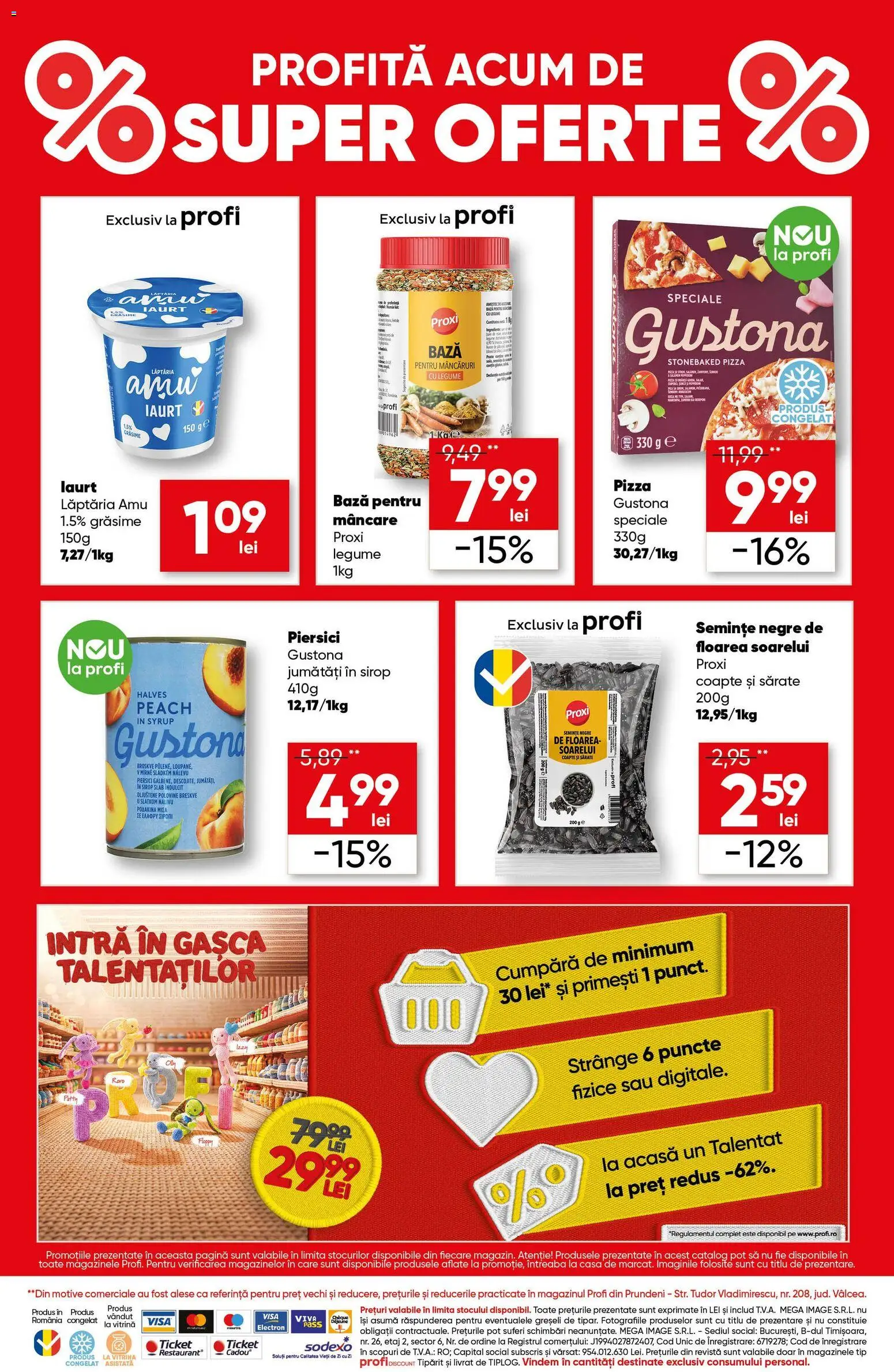 Noul catalog Profi – valabil de la 08.10.2026 | Pagină: 4