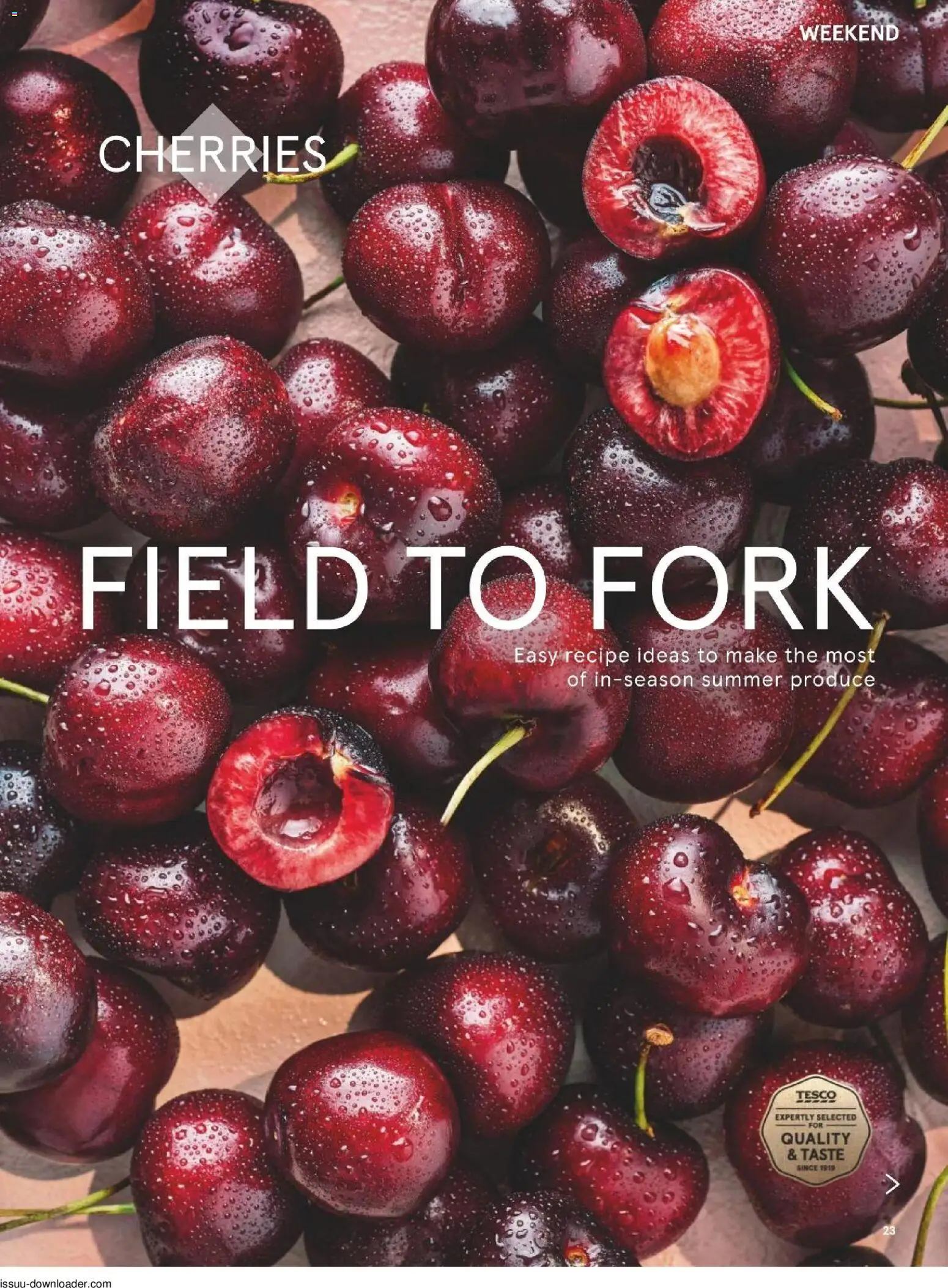 {H1} | Page: 23 | Products: Fork
