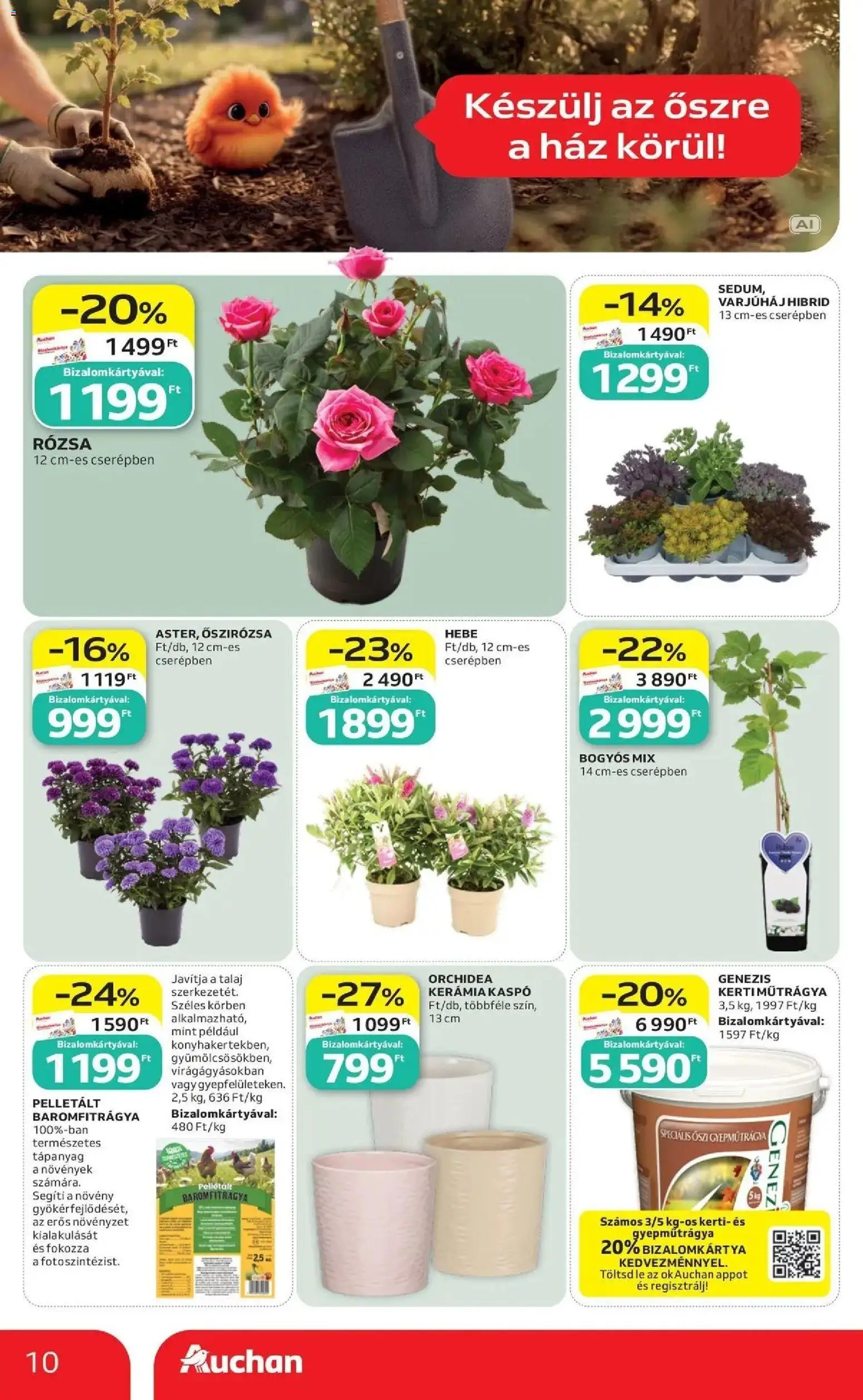 Auchan akciós újság Szolnok - 2026.09.10. -tól/töl > akció, lapozható szórólap 🛍️ | Oldal: 10 | Termékek: Orchidea, Lé, Rosé, Kaspó