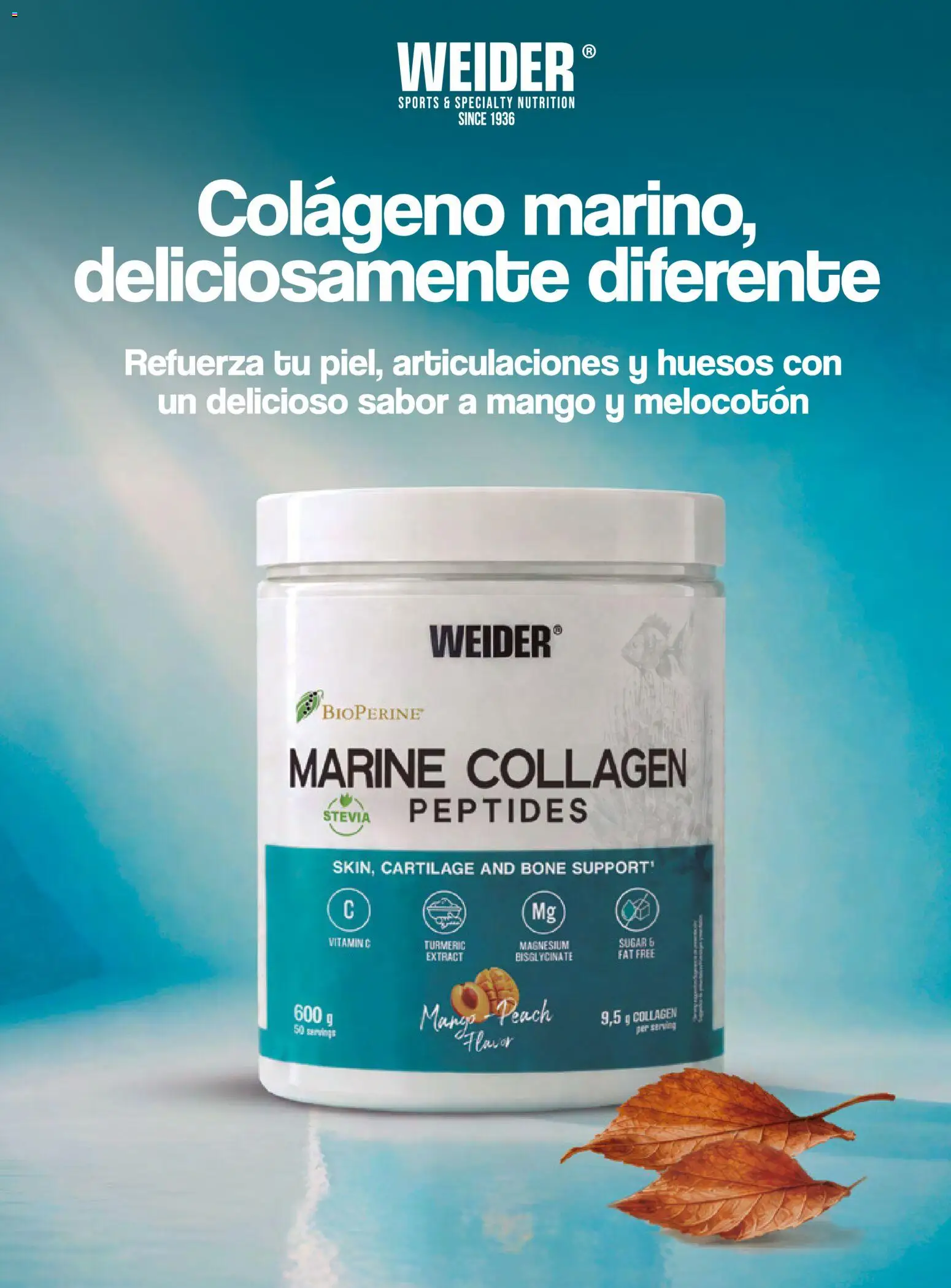 Costco catálogo Otoňo │ válido desde el 14/10/2026 | Página: 18 | Productos: Mango