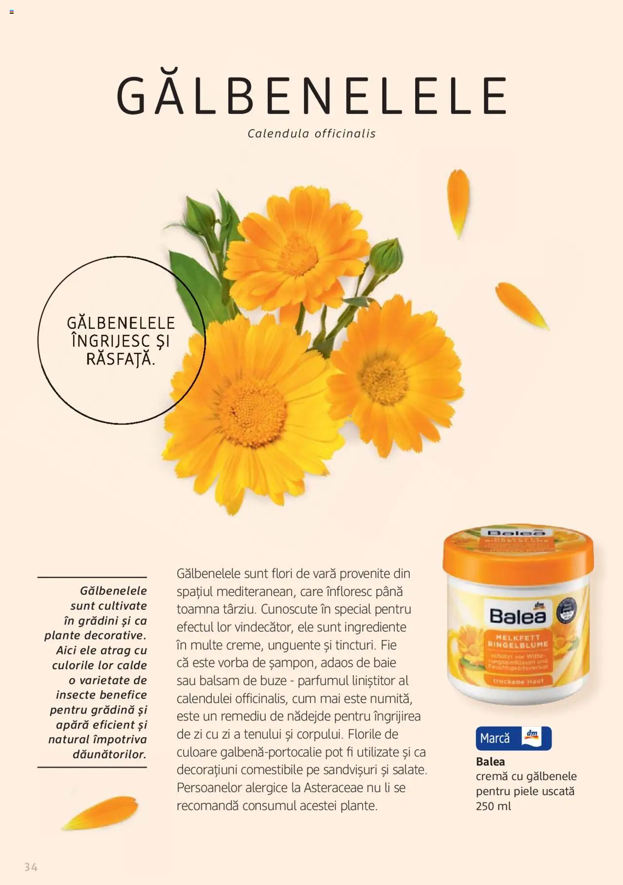 Noul catalog DM drogeriemarkt – valabil de la 01.01.2022 | Pagină: 34