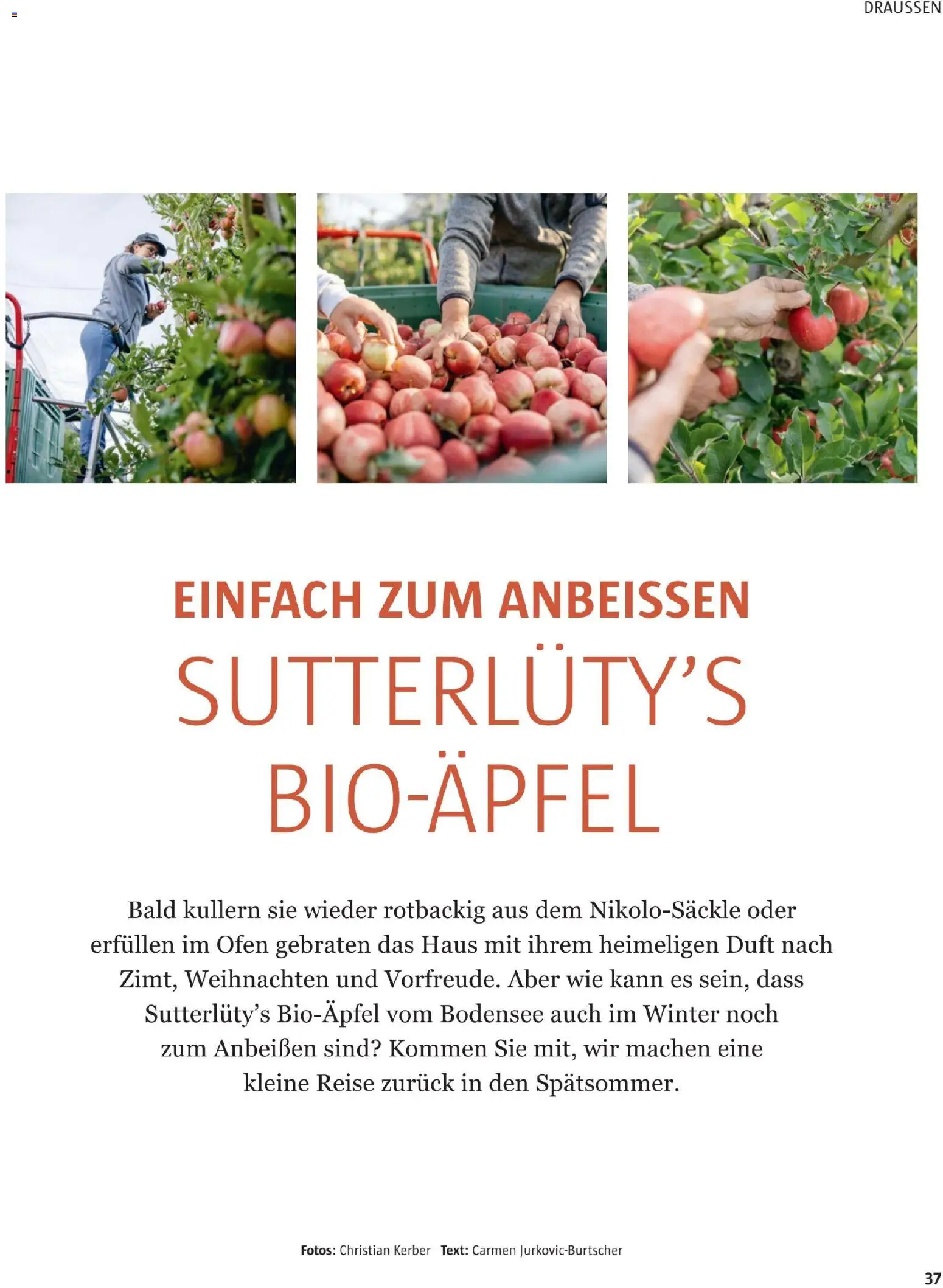 Sutterlüty B’sundrig Magazine gültig ab 17.11.2025 | Seite: 102 | Produkte: Ofen, Duft
