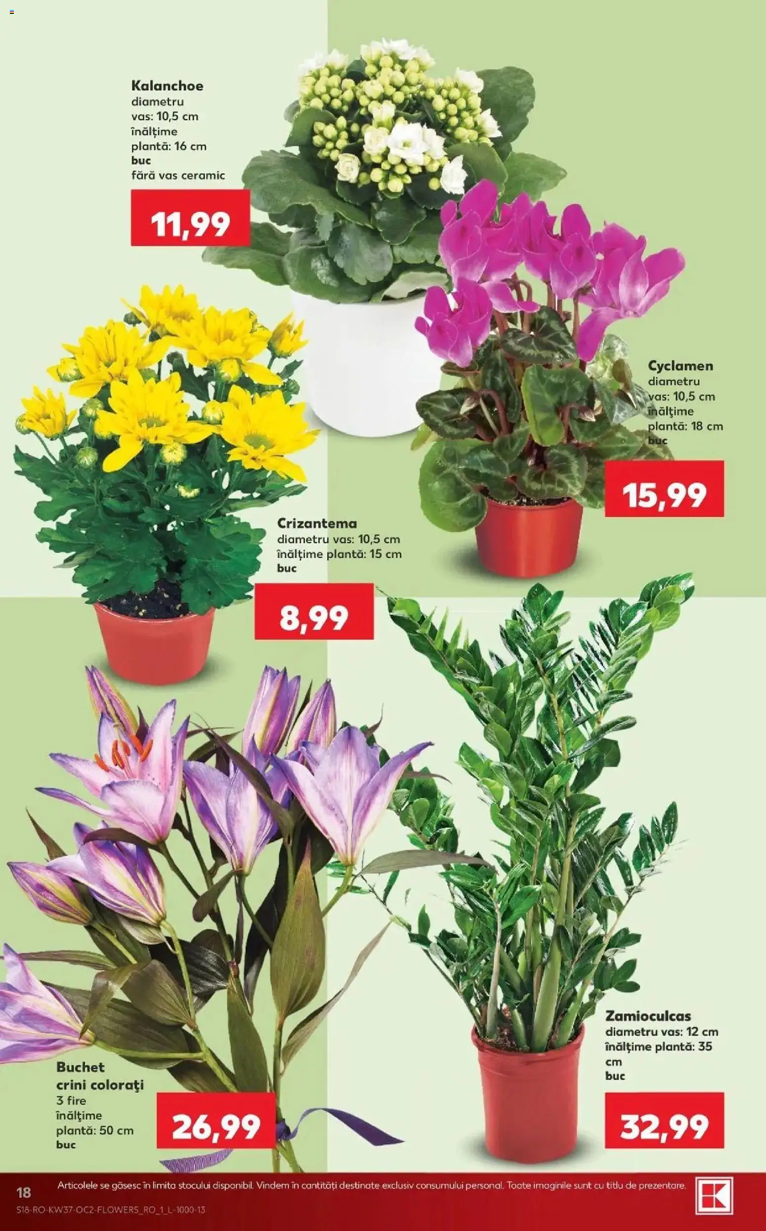 Kaufland Viseu de Sus 09.09.2026 - Revista si Oferta | Pagină: 18
