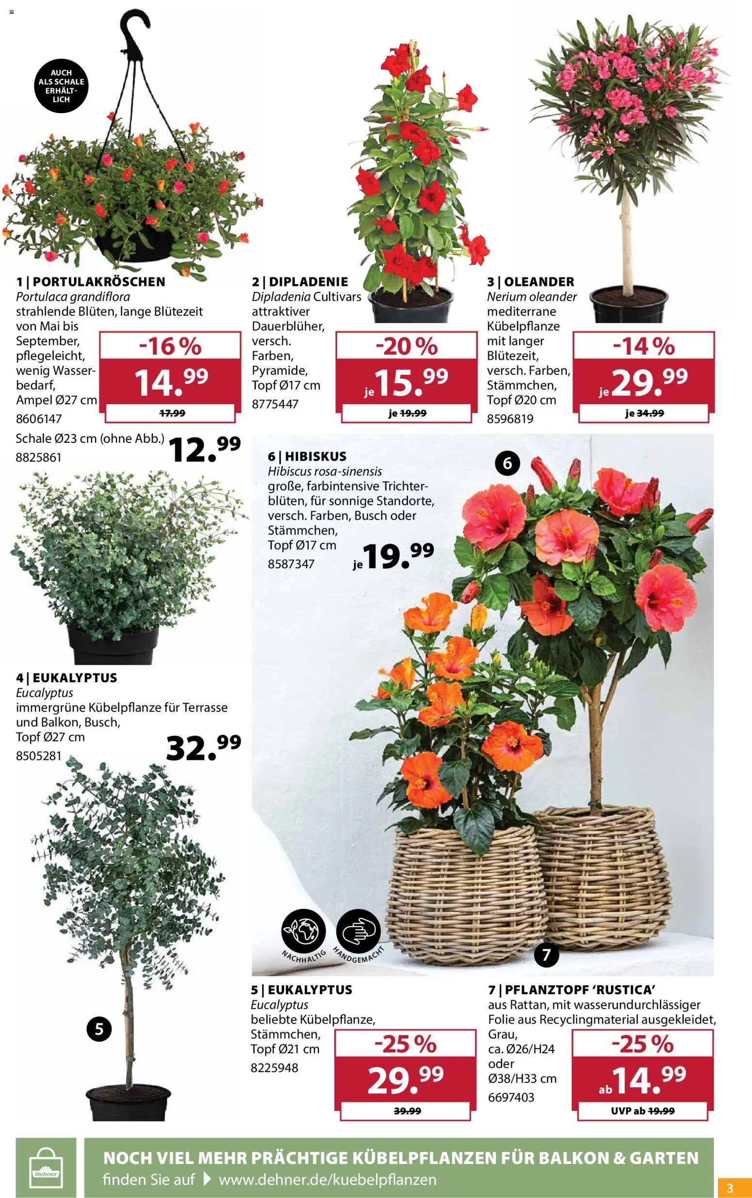 Dehner Prospekt – gültig ab 19.05.2026 | Seite: 3 | Produkte: Wasser