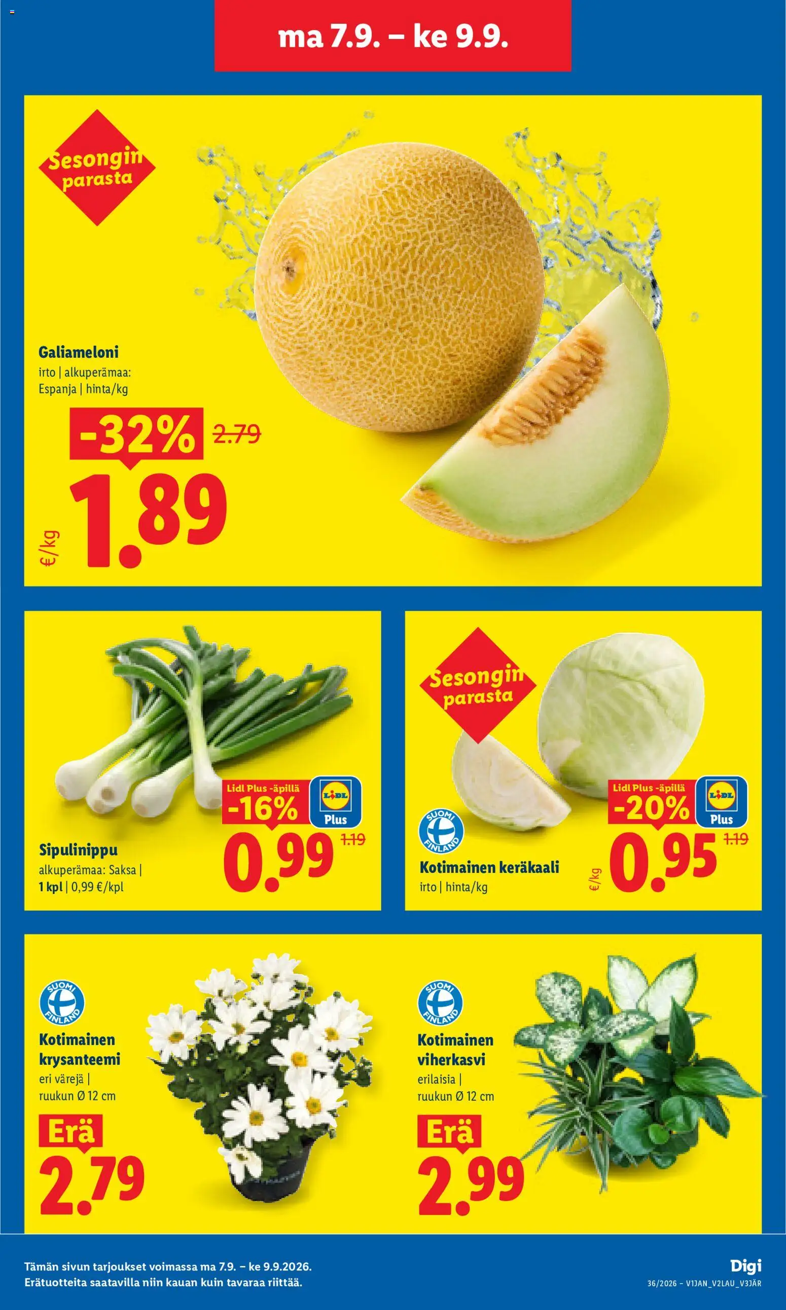 Lidl tarjoukset - Tampere – voimassa 07/09/2026 alkaen | Sivu: 3 | Tuotteet: Keräkaali