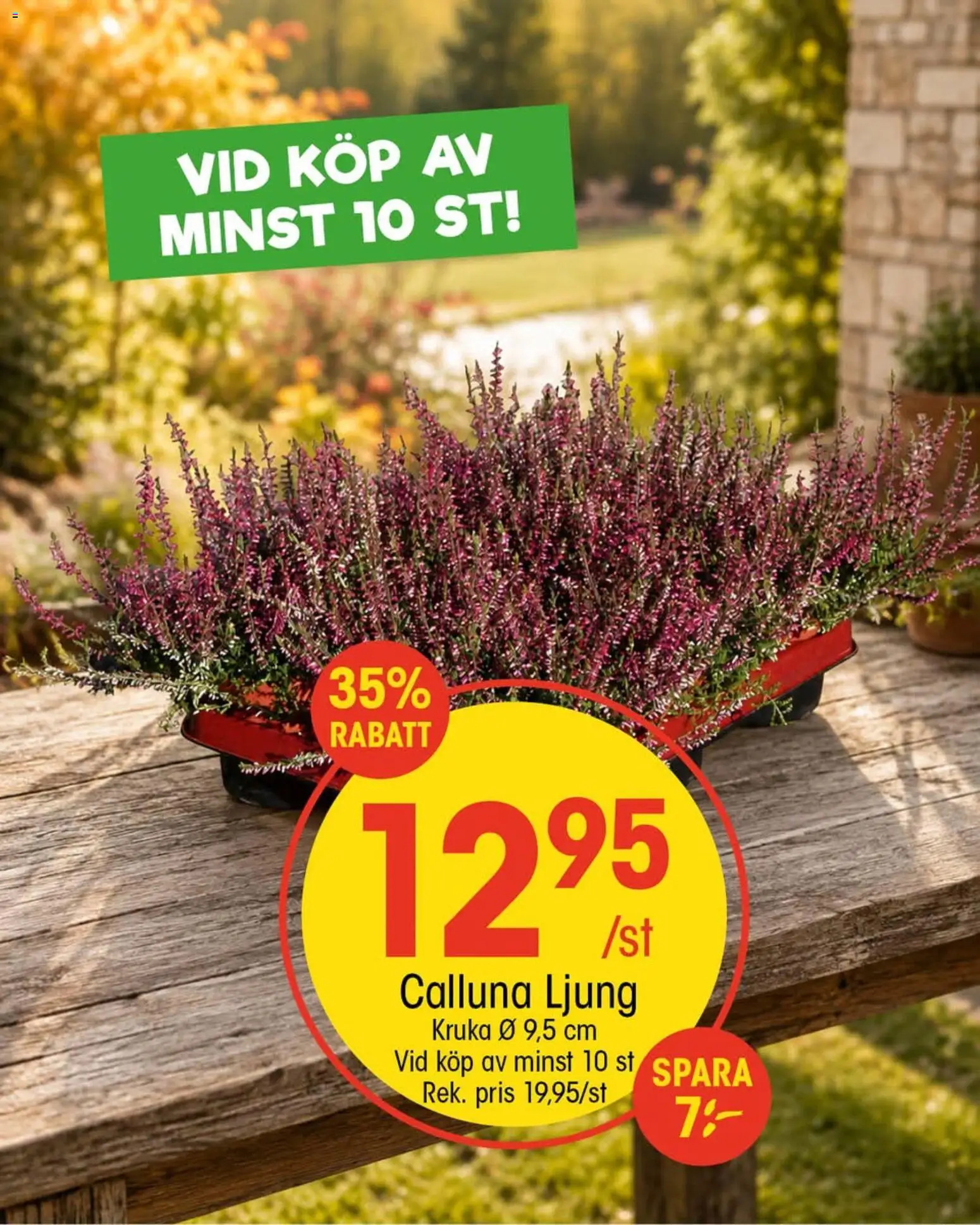 EKO reklamblad aktuell från 14/09/2026 | Sida: 1 | Produkter: Ljung, Kruka
