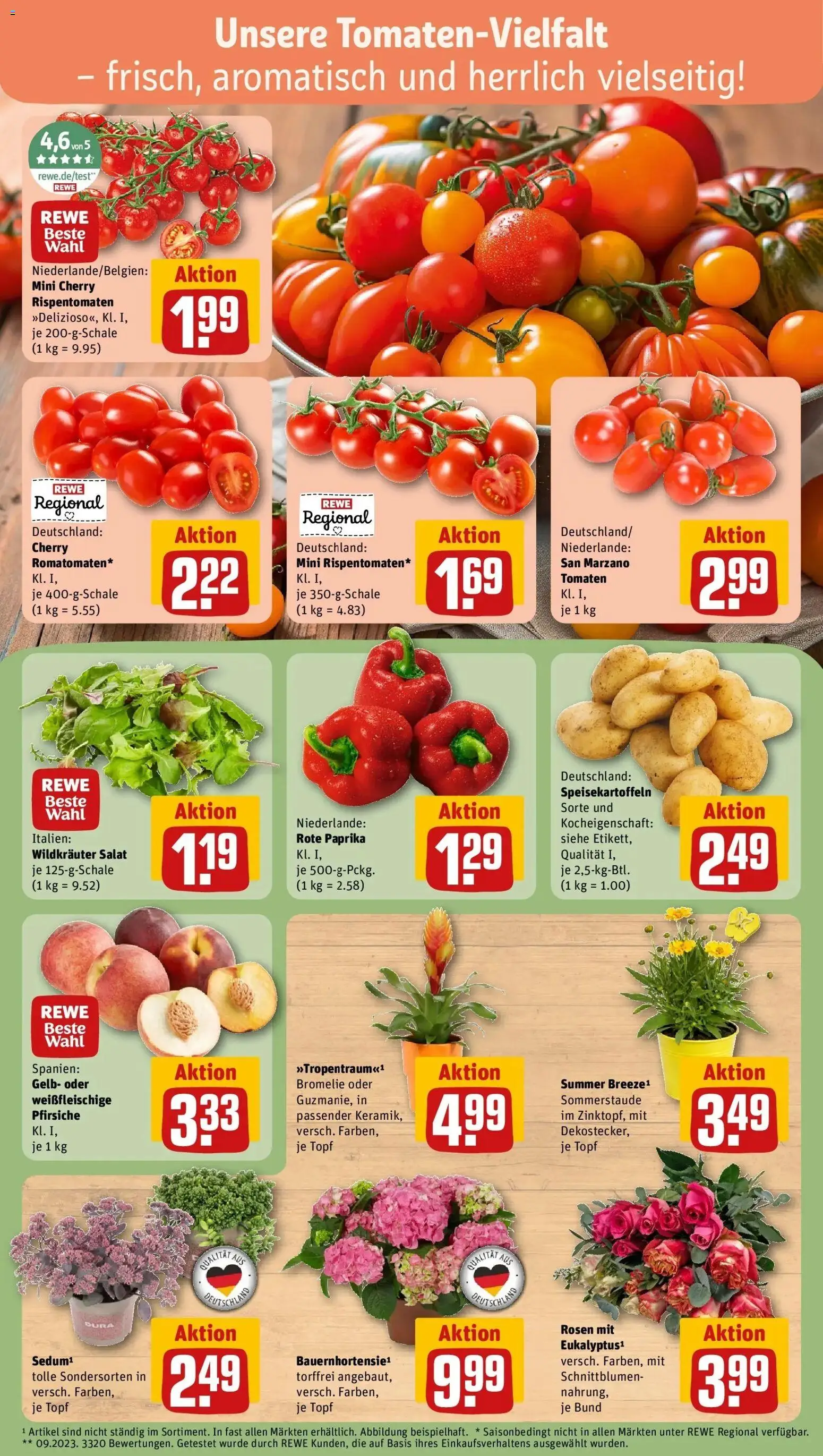 Rewe Prospekt Plochingen – gültig ab 13.07.2026 | Seite: 7 | Produkte: Tomaten, Paprika, Salat