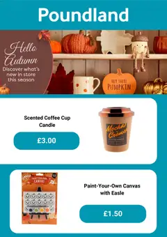 Preview of Poundland - Offers valid from 11/09/2026 | Page: 3