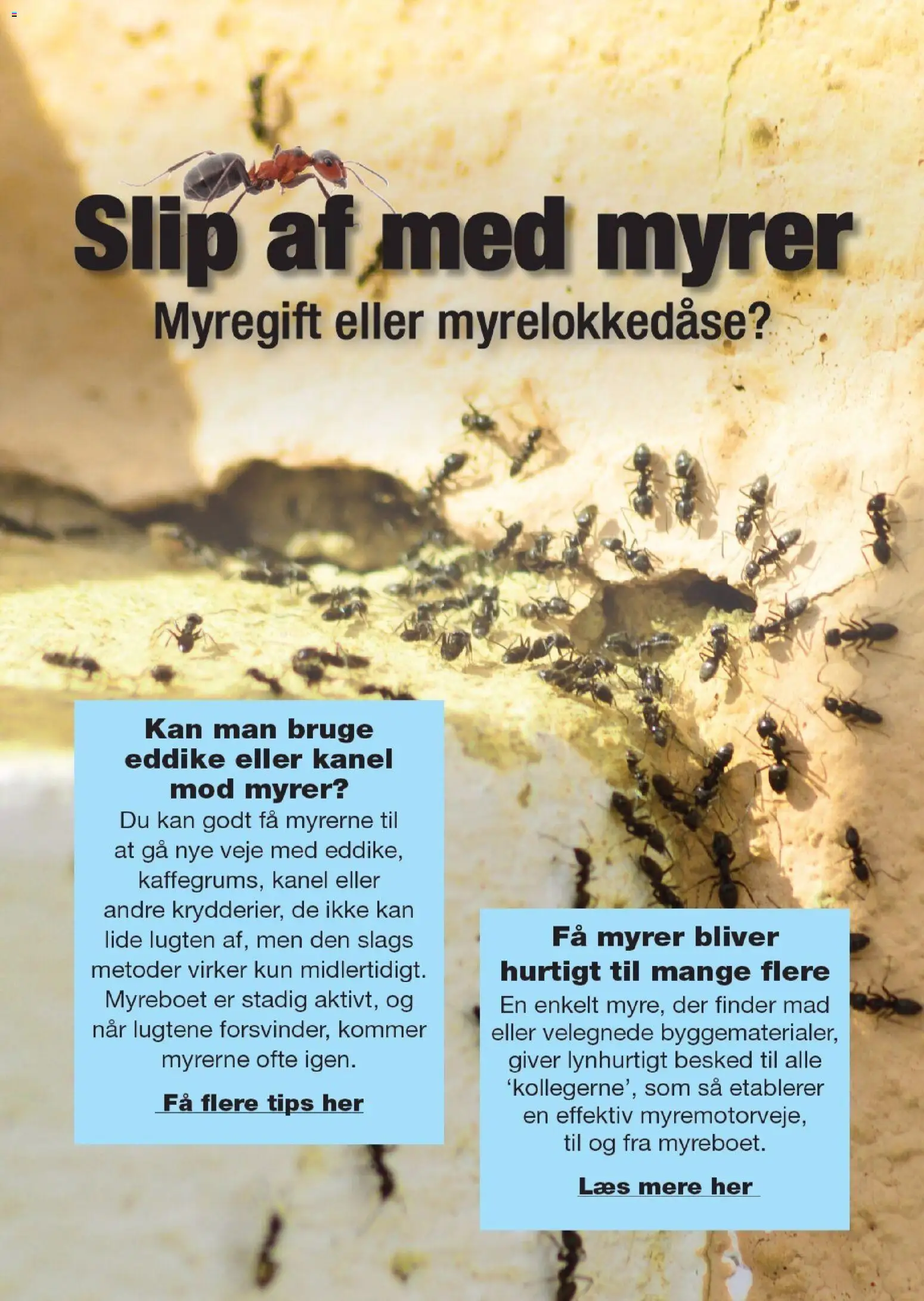 Harald Nyborg tilbudsavis – gyldig fra 14.05.2026 | Side: 33