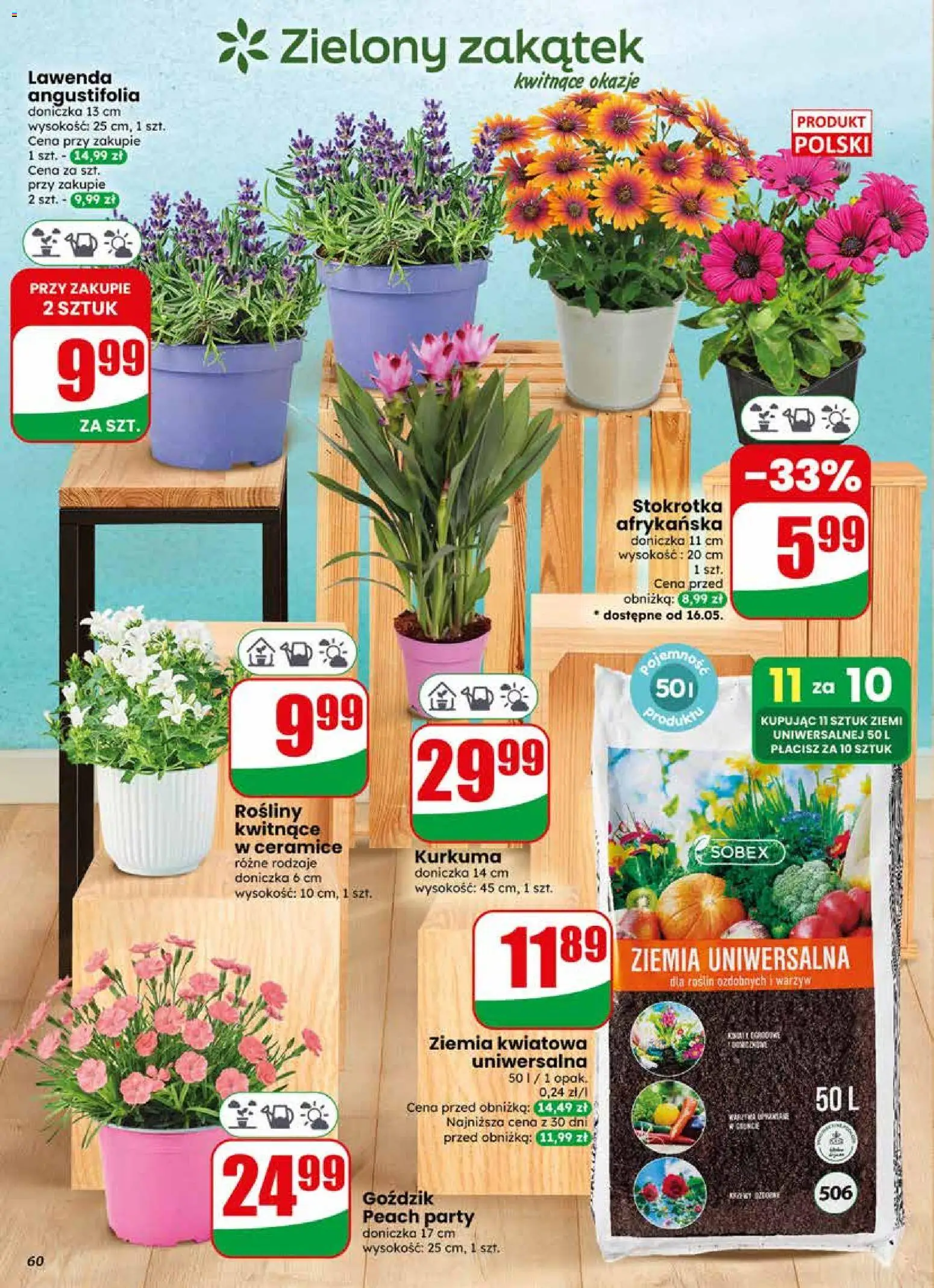 Dino gazetka od 13.05.2026 | Strona: 60 | Produkty: Kurkuma, Ziemia uniwersalna, Stokrotka, Doniczka