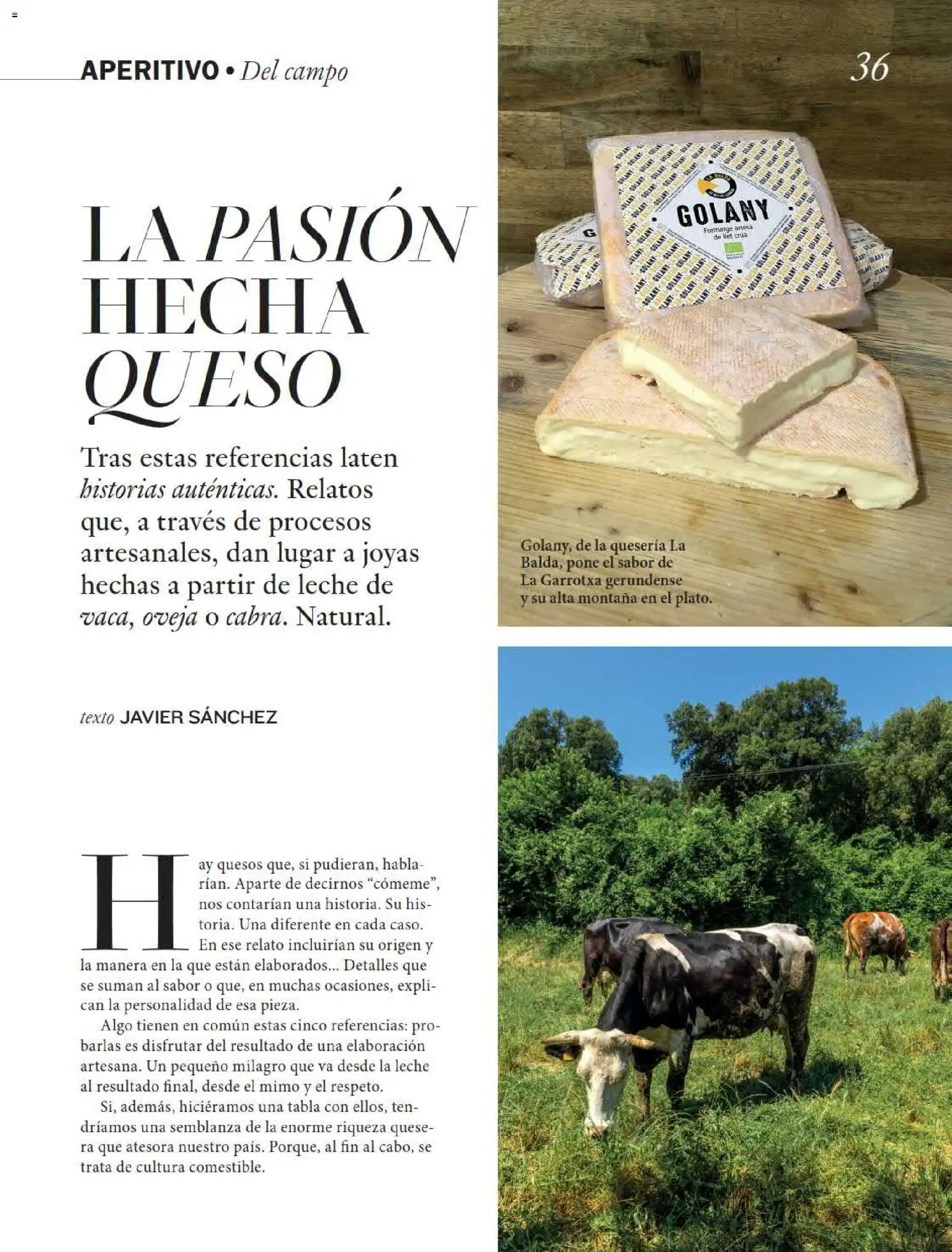 El Corte Inglés Gourmet Magazine │ válido desde el 01/10/2026 | Página: 36 | Productos: Leche, Queso