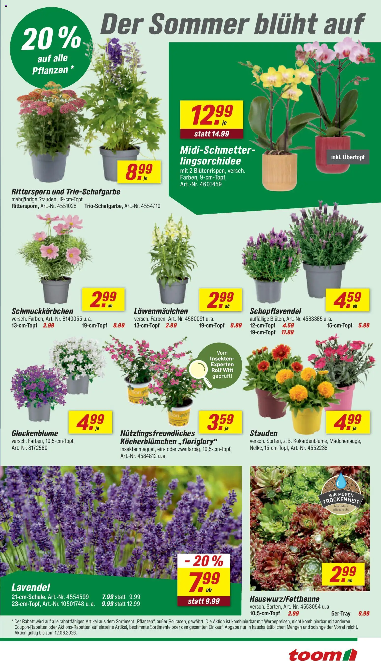 Toom Baumarkt Prospekt – gültig ab 06.06.2026 | Seite: 5 | Produkte: Lavendel