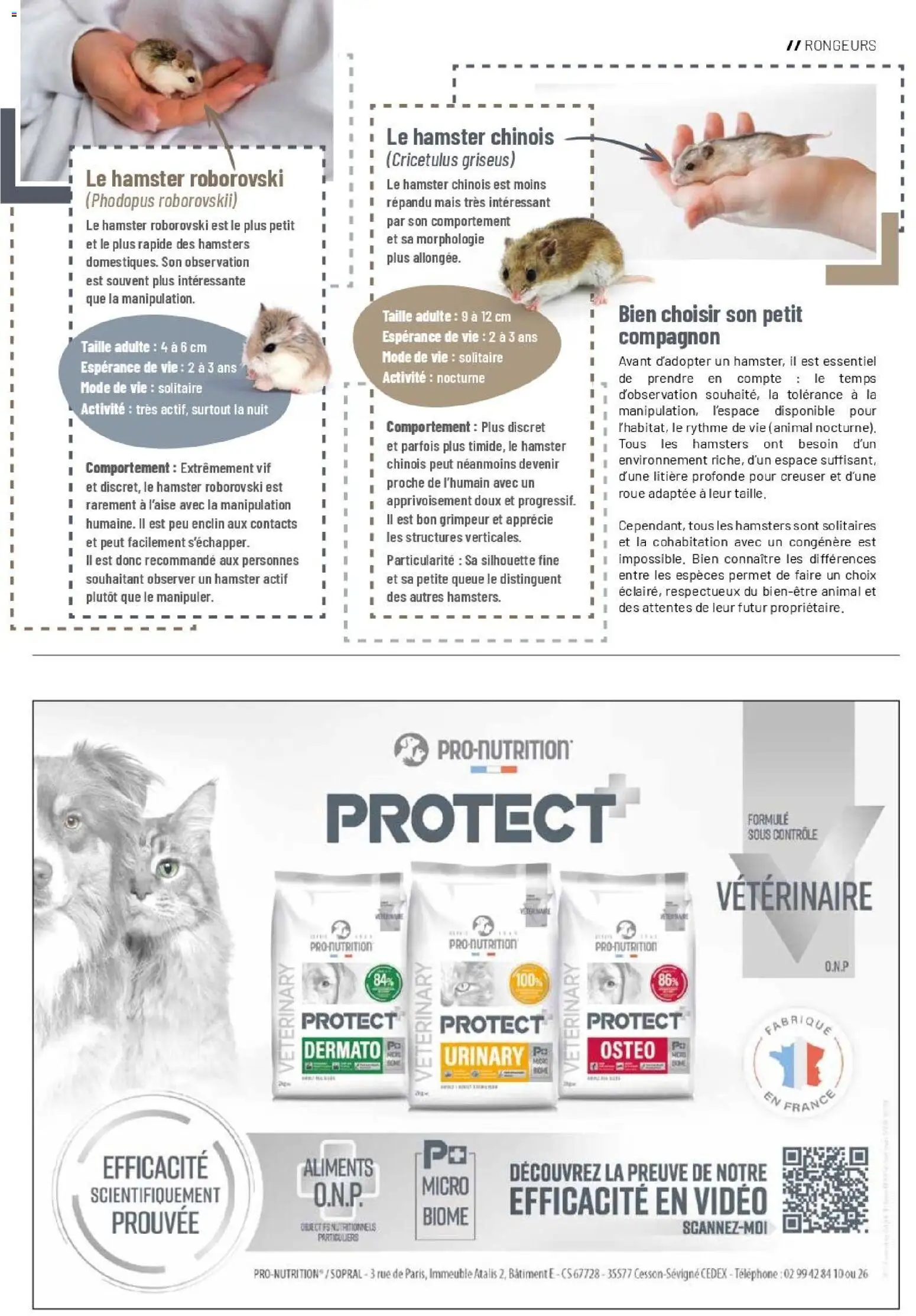 {H1} | Page: 17 | Produits: Téléphone, Vidéo, Mais, Litière