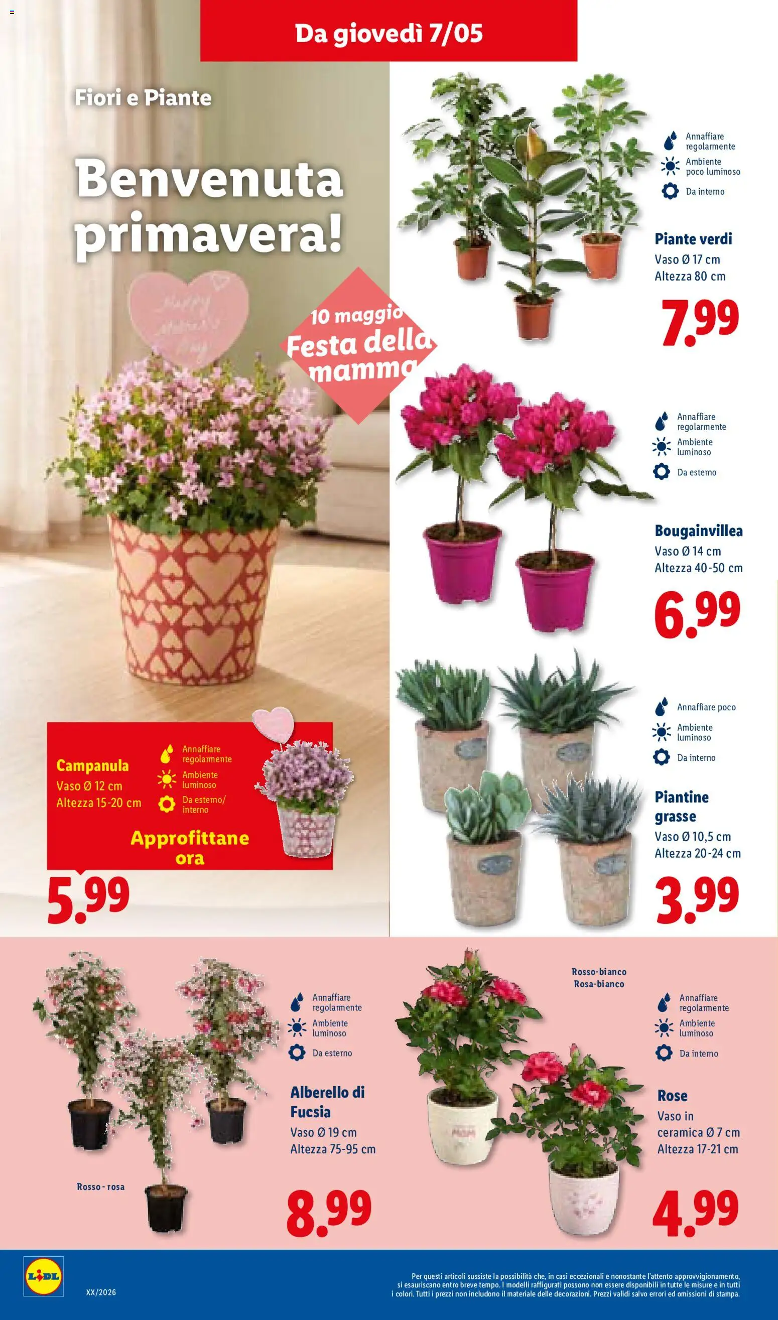 Volantino Lidl del 07.05.2026 | Pagina: 30 | Prodotti: Vaso
