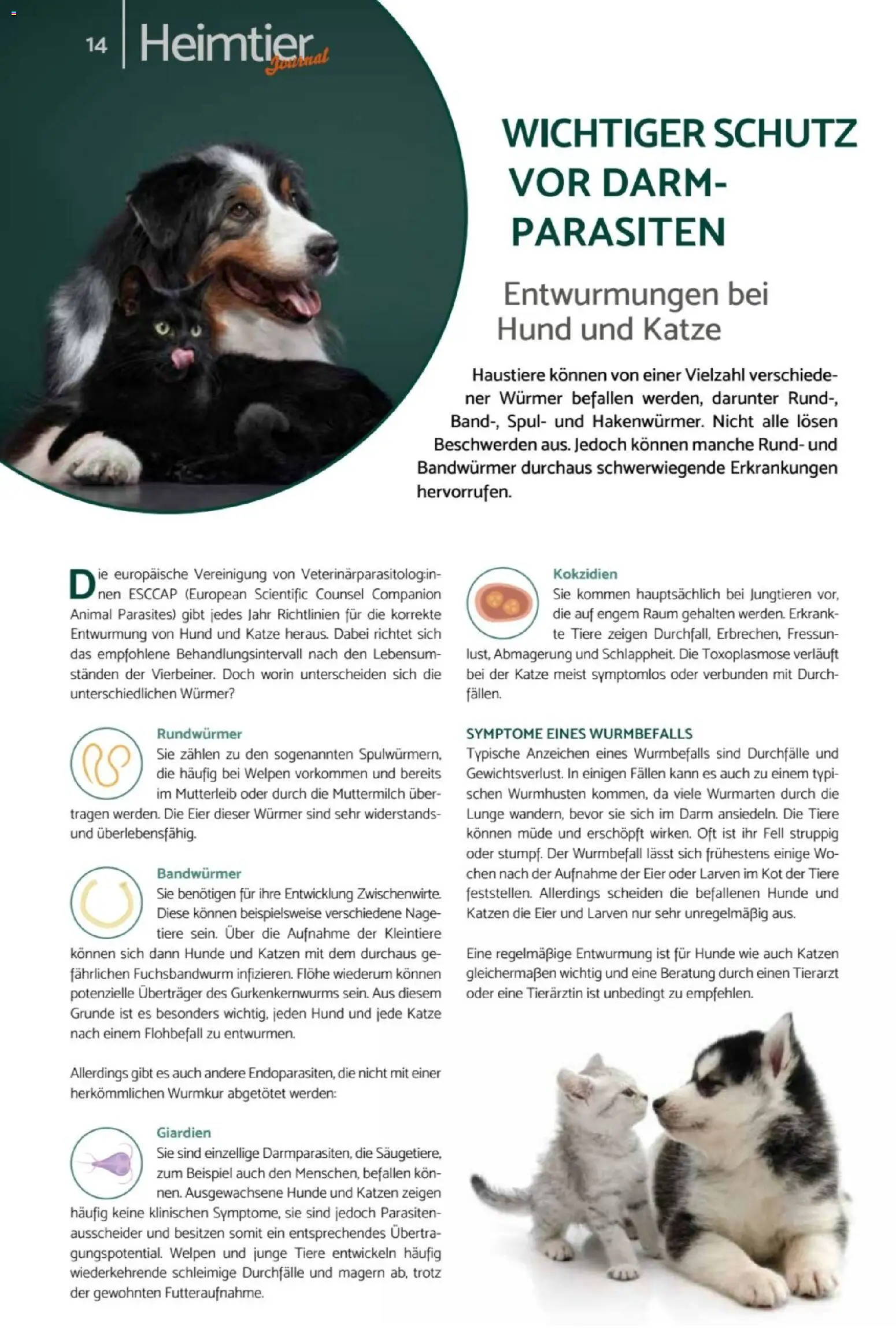zookauf Heimtier Journal – gültig ab 01.07.2026 | Seite: 14 | Produkte: Eier