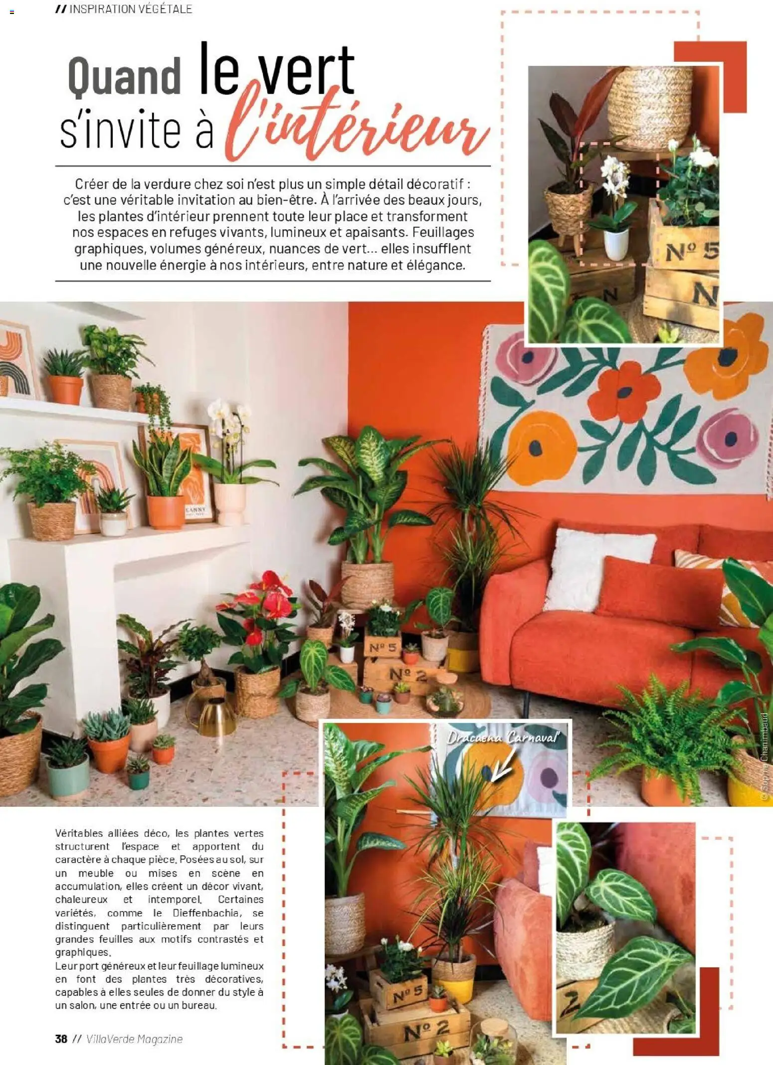 {H1} | Page: 38 | Produits: Meuble, Plantes, Magazine