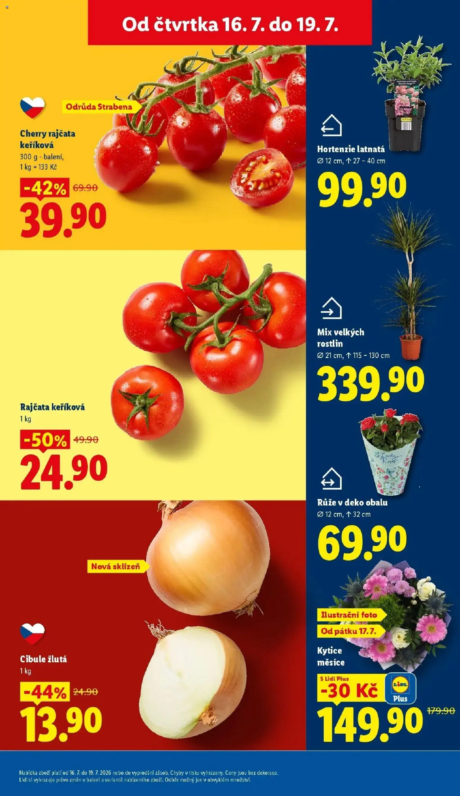 Lidl aktuální leták od 16.07.2026 | Strana: 15 | Produkty: Rajčata, Cherry rajčata, Kytice, Cibule