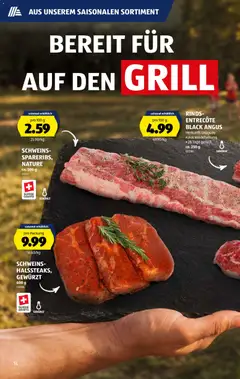 Aldi aktionen ab 11.06.2026 gültig | Seite: 16 | Produkte: Grill