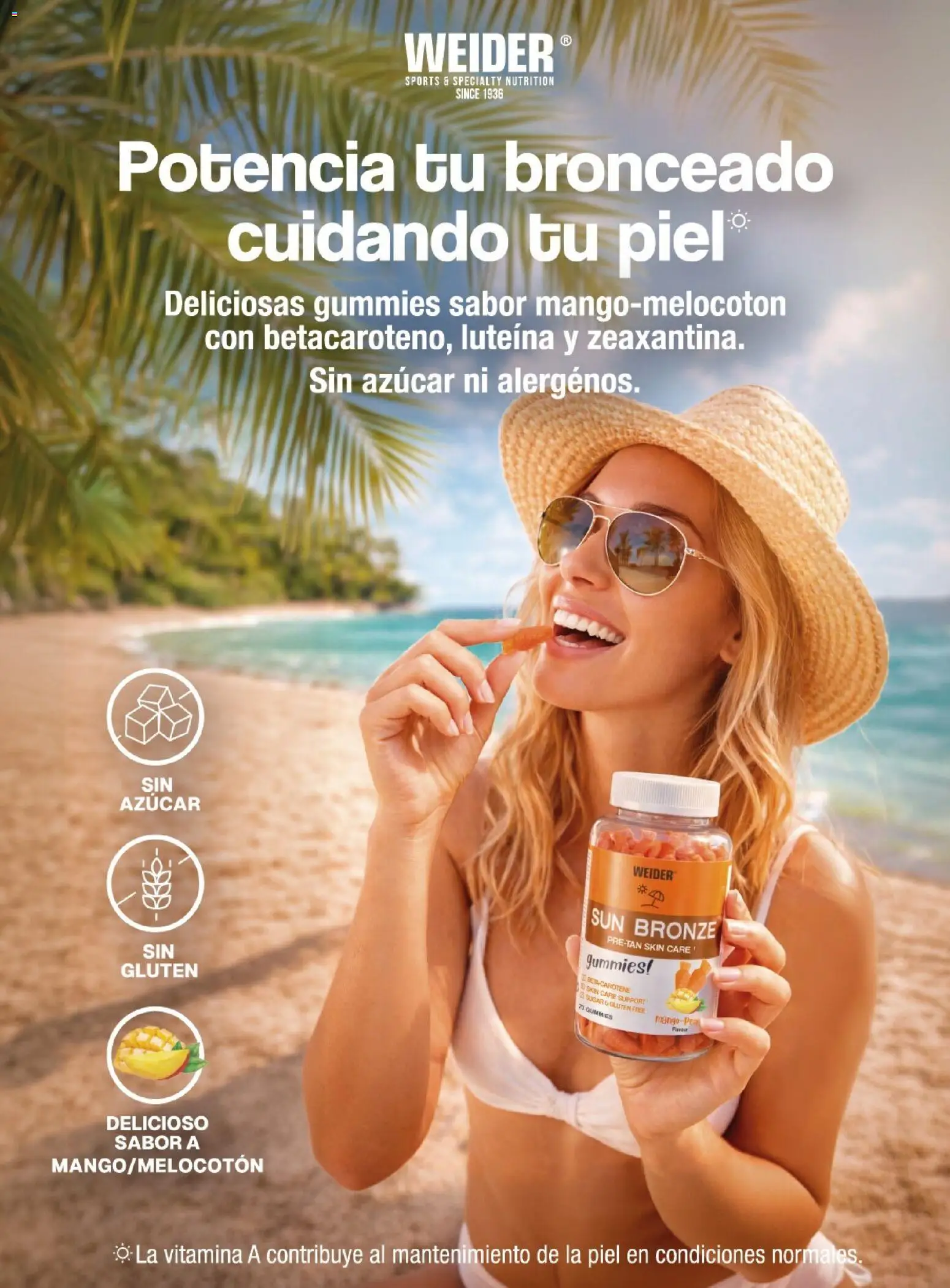 Costco catálogo │ válido desde el 15.06.2026 | Página: 14