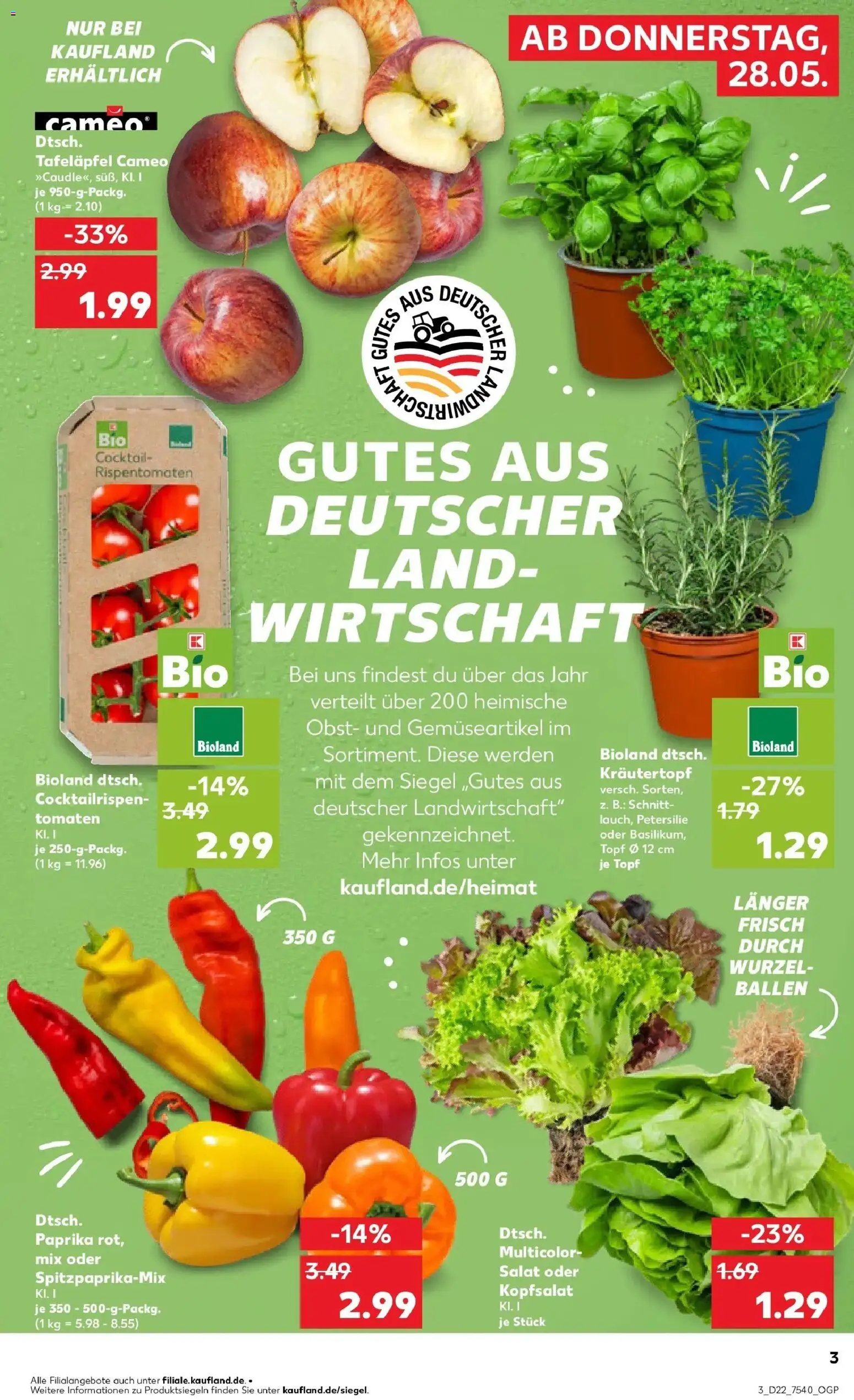 Kaufland Prospekt Bergen Auf Rügen – gültig ab 26.05.2026 | Seite: 8 | Produkte: Tomaten, Paprika, Petersilie, Salat