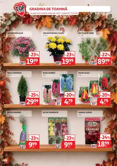 Ofertele Auchan valabile de la 30.09.2026 | Pagină: 44 | Produse: Premium, Gradina, Trandafir, Grătar