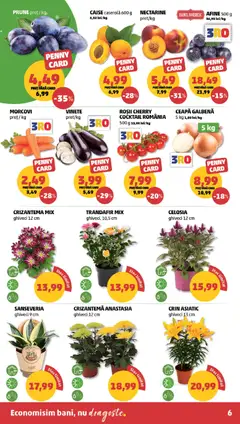 Ofertele PENNY valabile de la 19.08.2026 | Pagină: 6