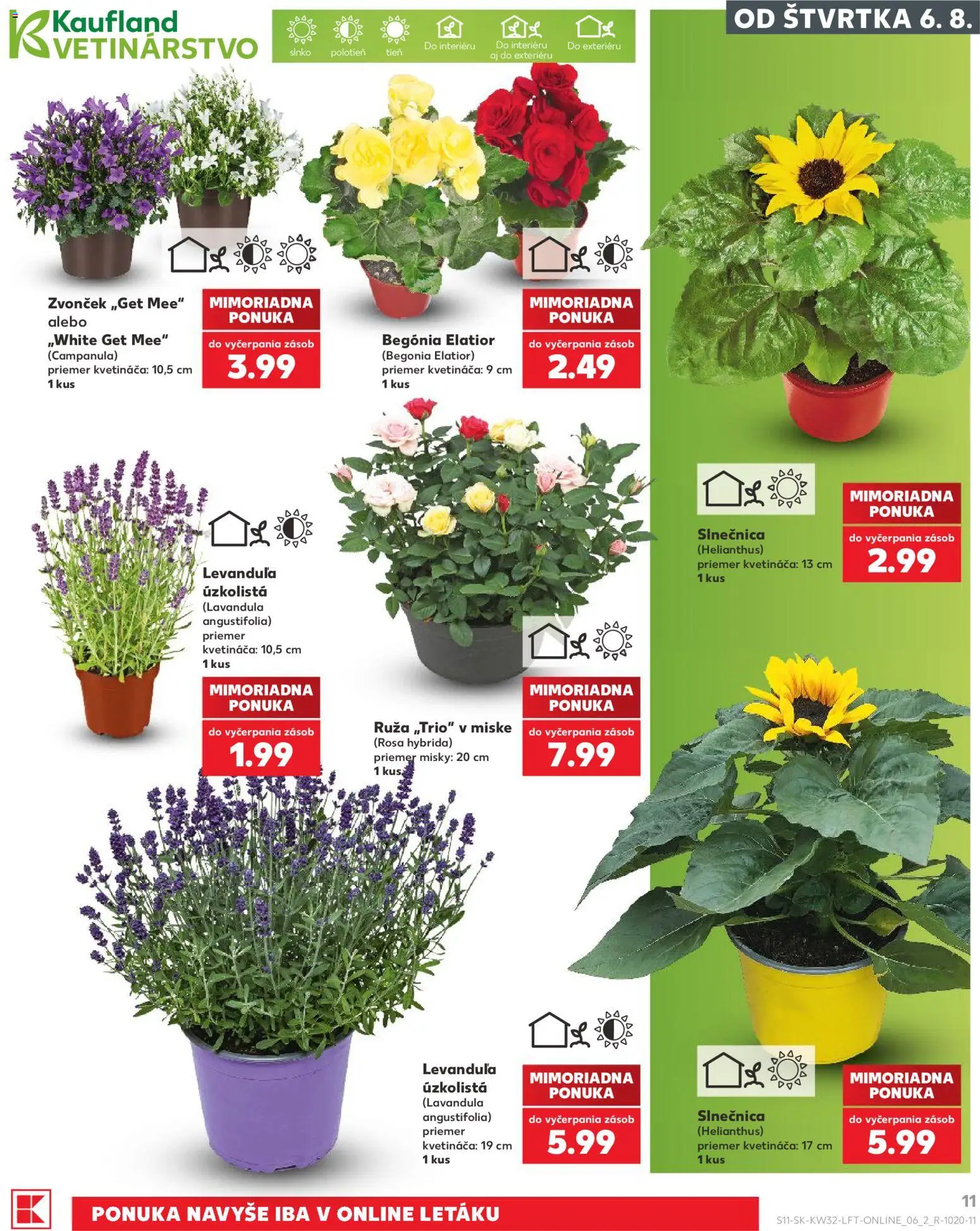 Nové Kaufland akcie – leták je platný od 06.08.2026 | Strana: 11 | Produkty: Zvonček