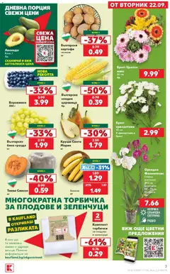 Преглед на Кауфланд Cедмична брошура - Офертите са валидни от 21.09.2026 | Страница: 3