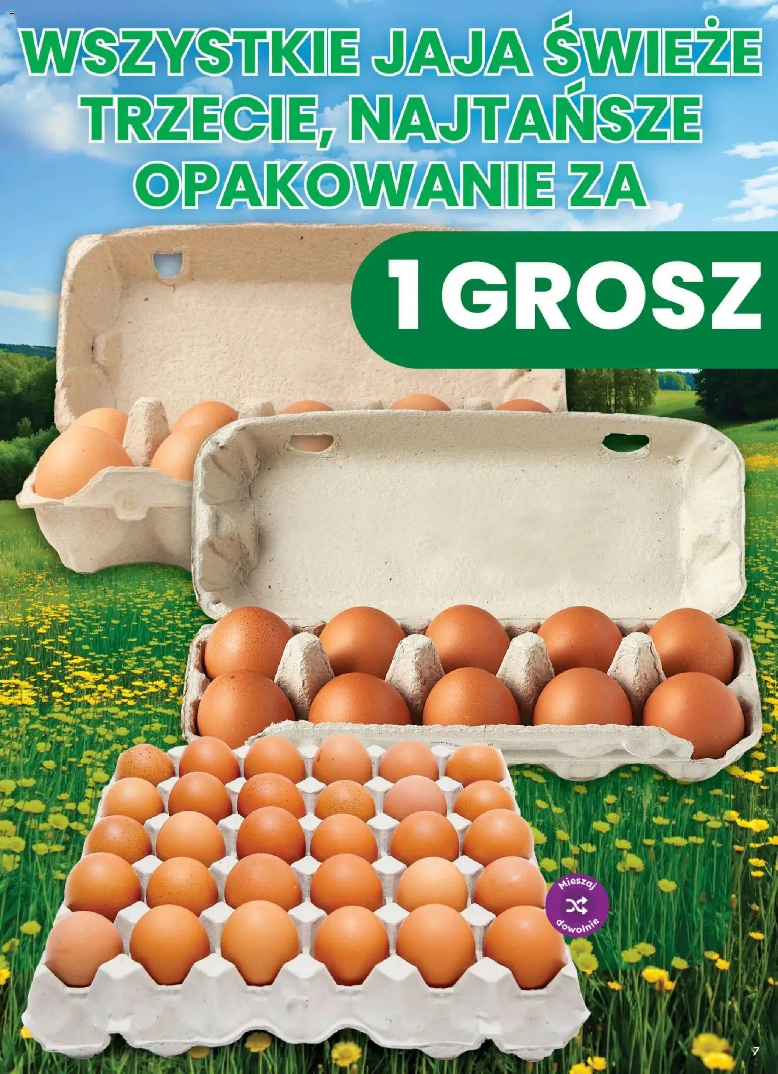 Dino gazetka - Weekendowe Okazje od 21.08.2026 | Strona: 7 | Produkty: Jaja
