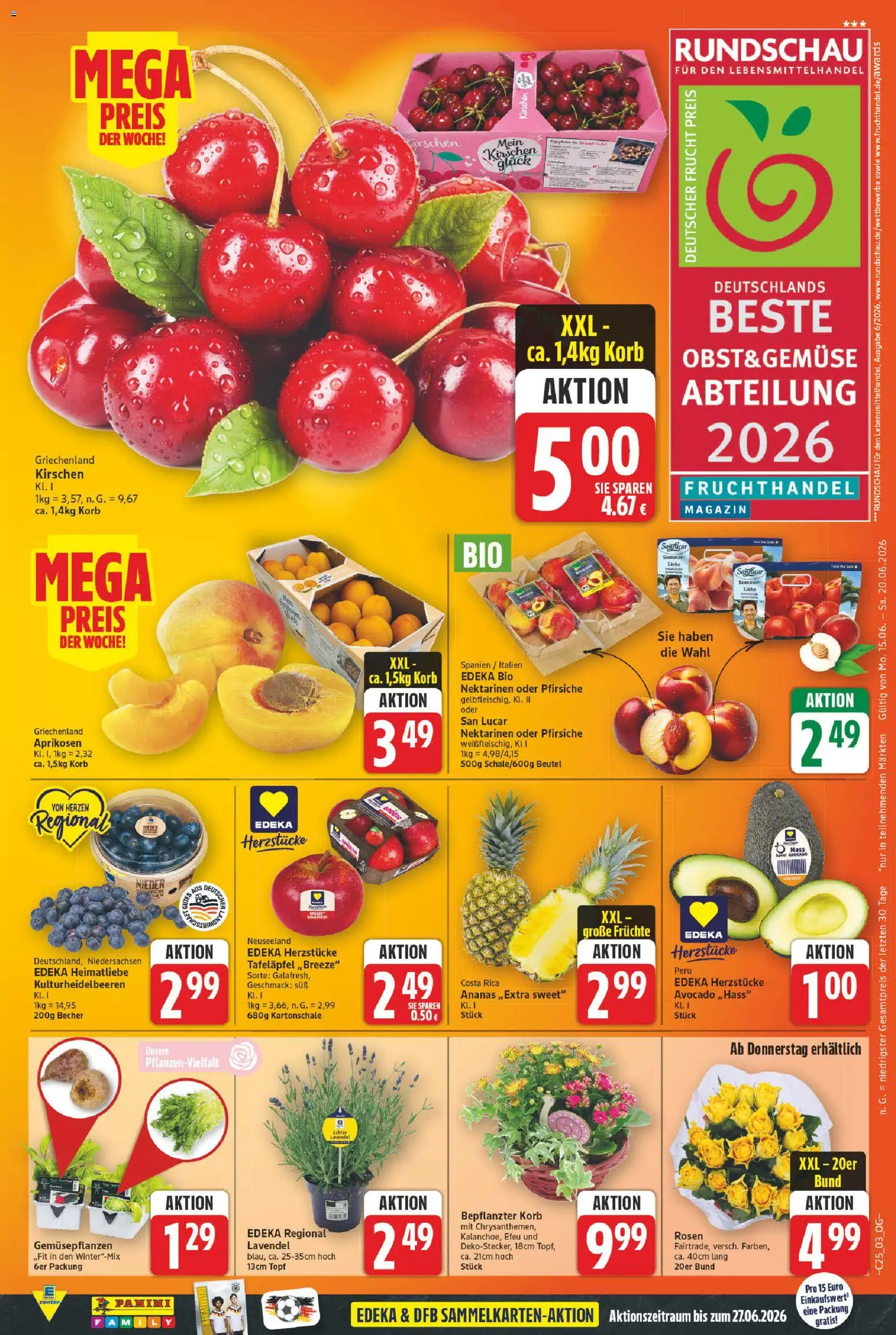 E center Prospekt – gültig ab 15.06.2026 | Seite: 3 | Produkte: Nektarinen, Ananas, Avocado, Gemüse