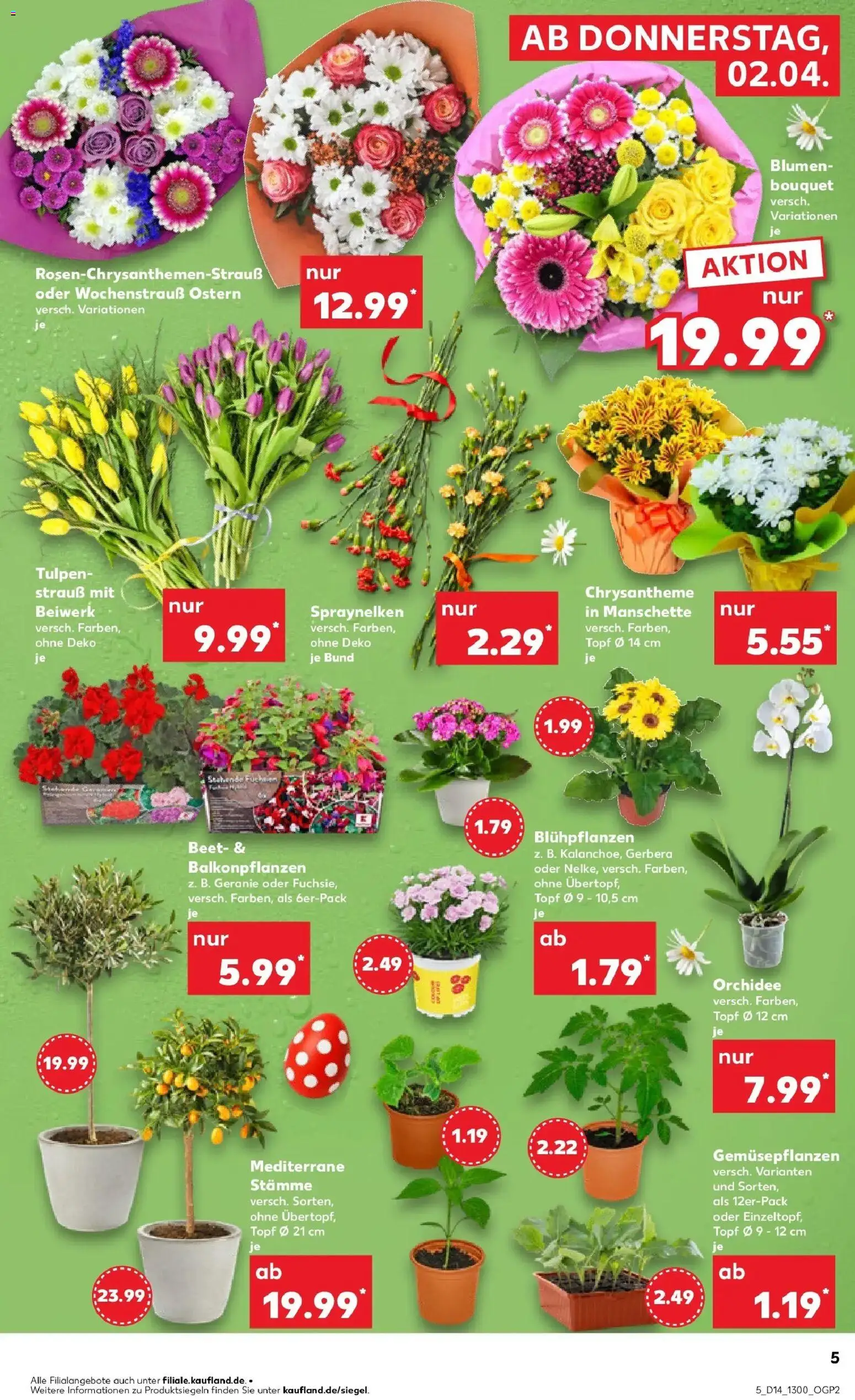 Kaufland Prospekt Bergkamen	 – gültig ab 02.04.2026 | Seite: 5 | Produkte: Orchidee, Blumen