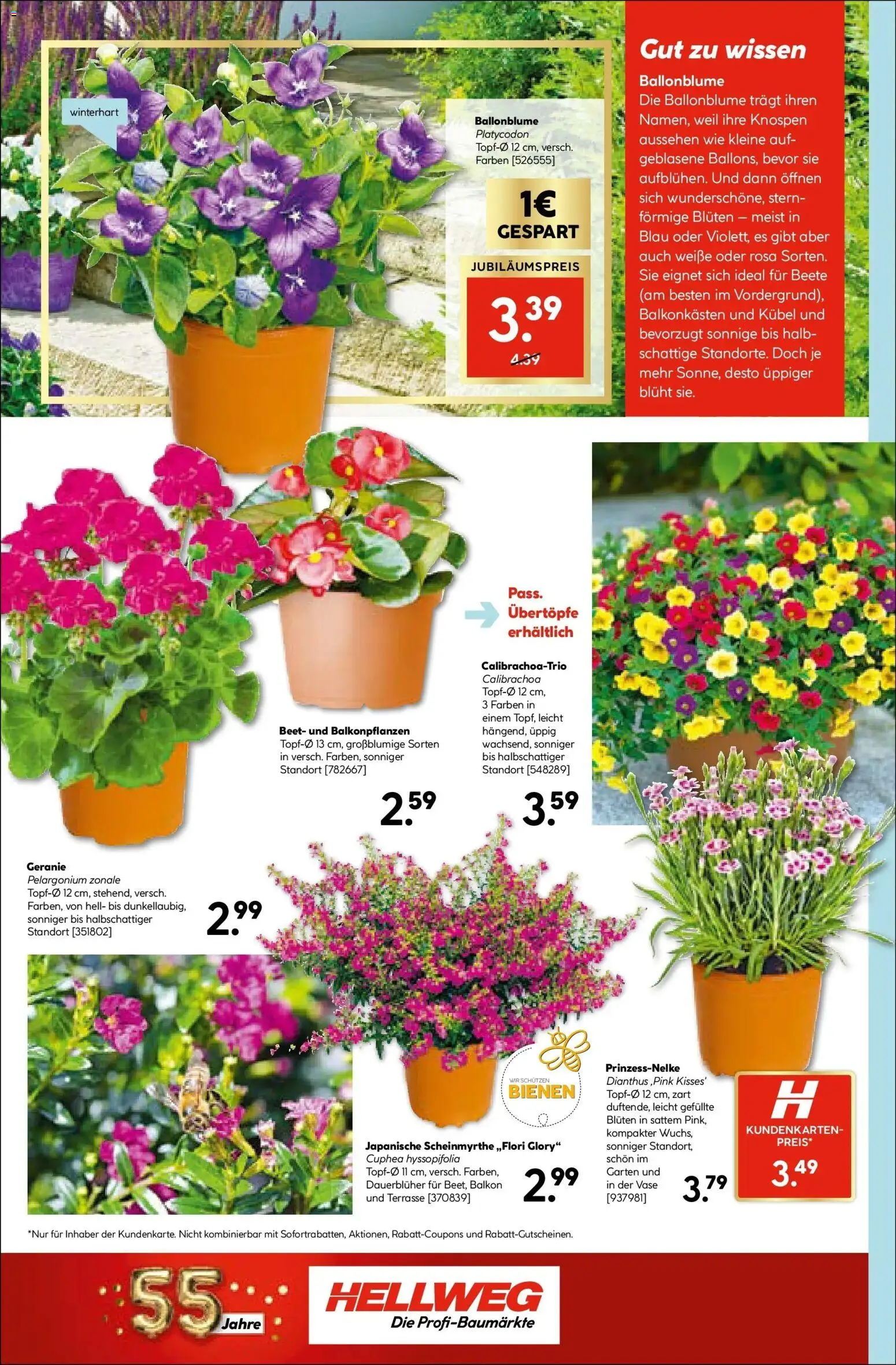 HELLWEG Ried gültig ab 18.06.2026 | Seite: 18 | Produkte: Vase