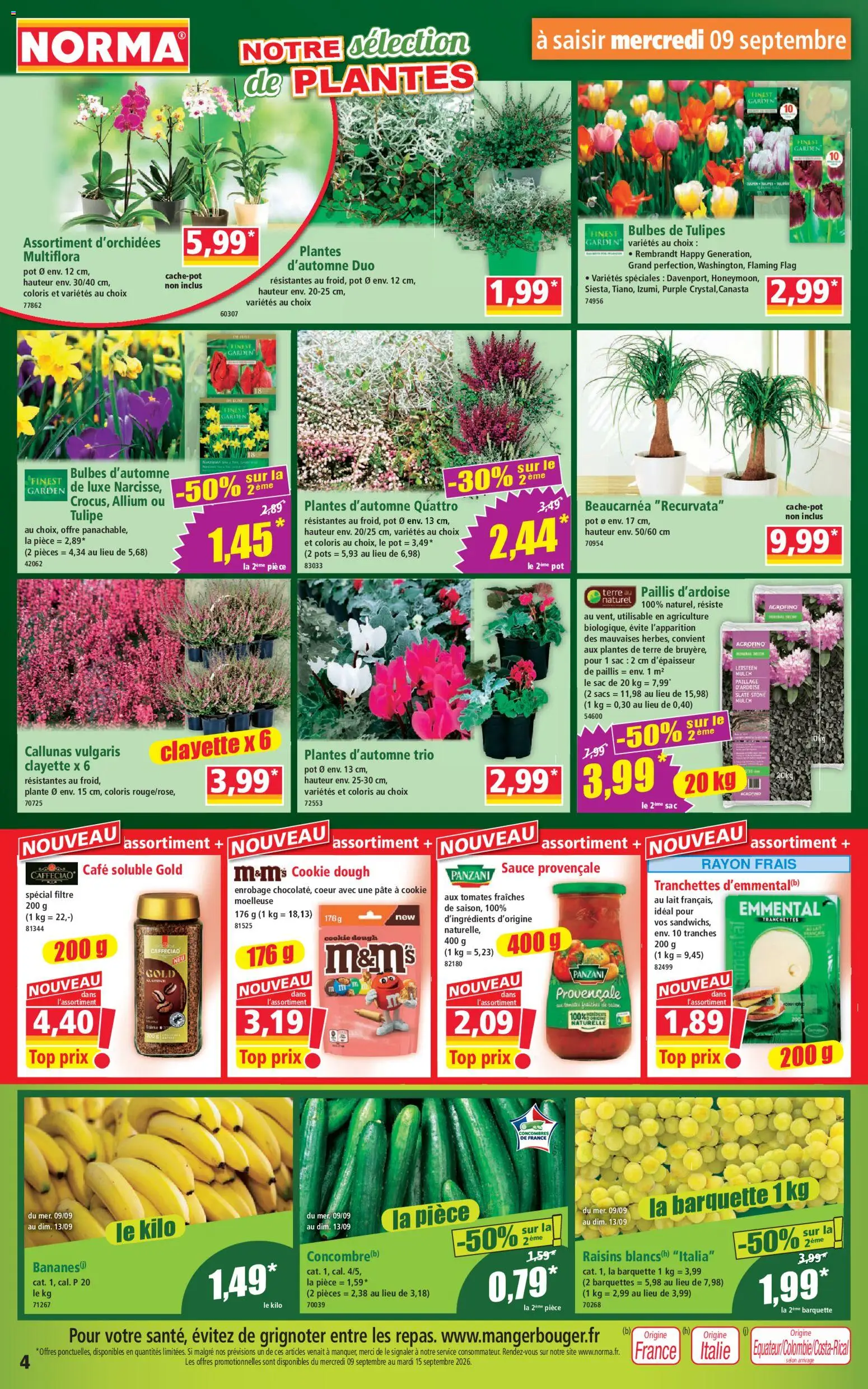 {H1} | Page: 4 | Produits: Plantes, Tulipes, Café, Cookie dough