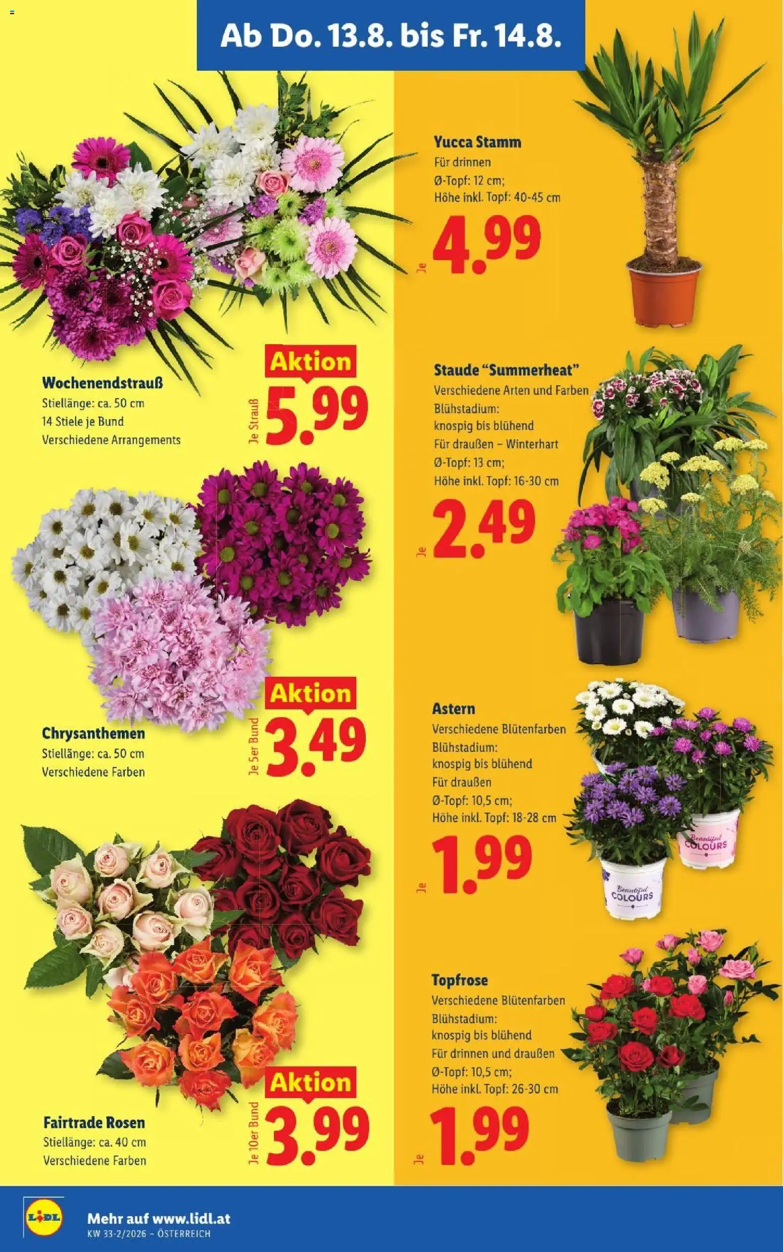 Lidl - Flugblatt gültig ab 13.08.2026 | Seite: 26