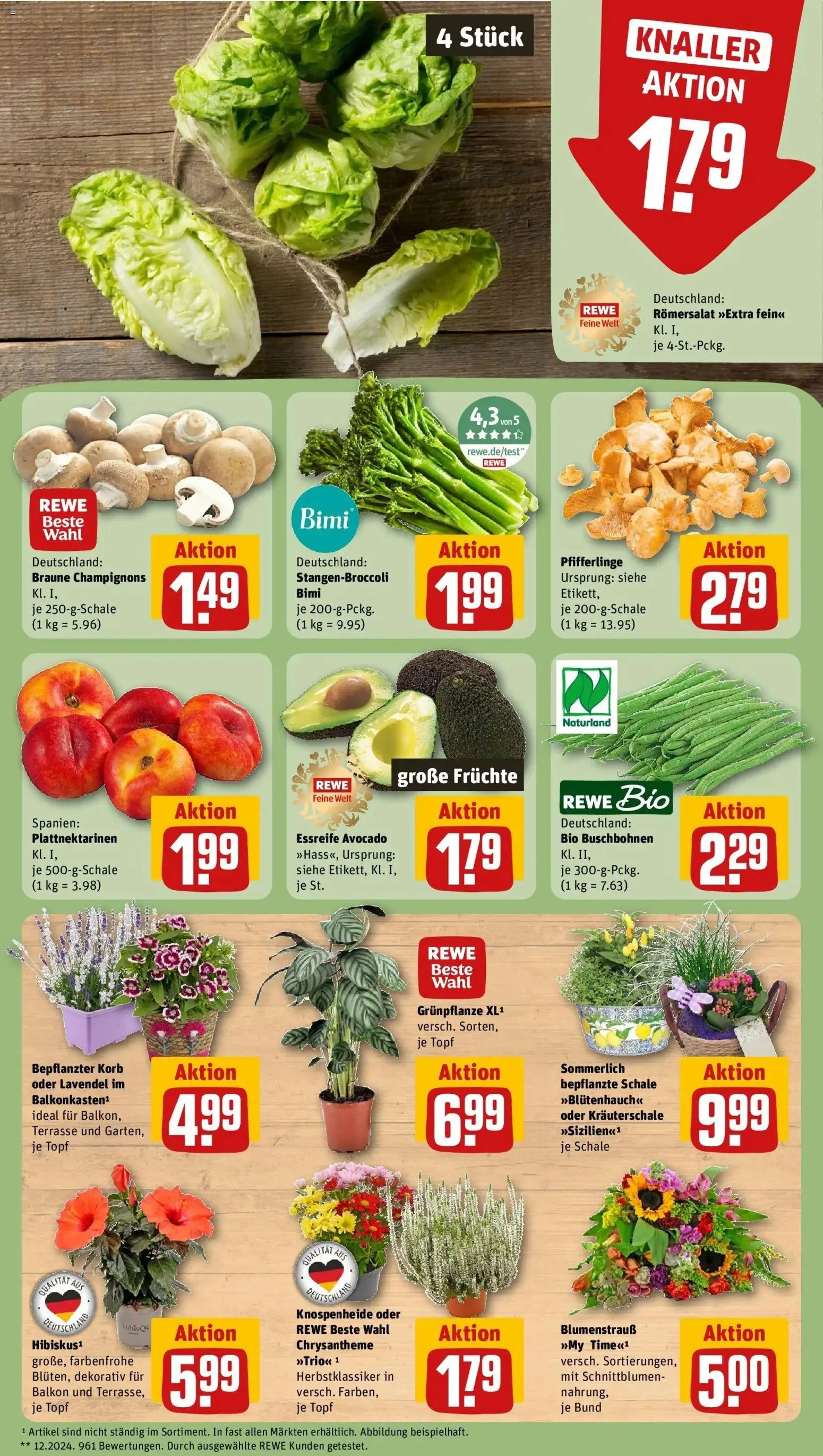 REWE Prospekt ab 17.08.2026 zum Blättern » Angebote | Seite: 9 | Produkte: Korb, Avocado, Champignons, Lavendel