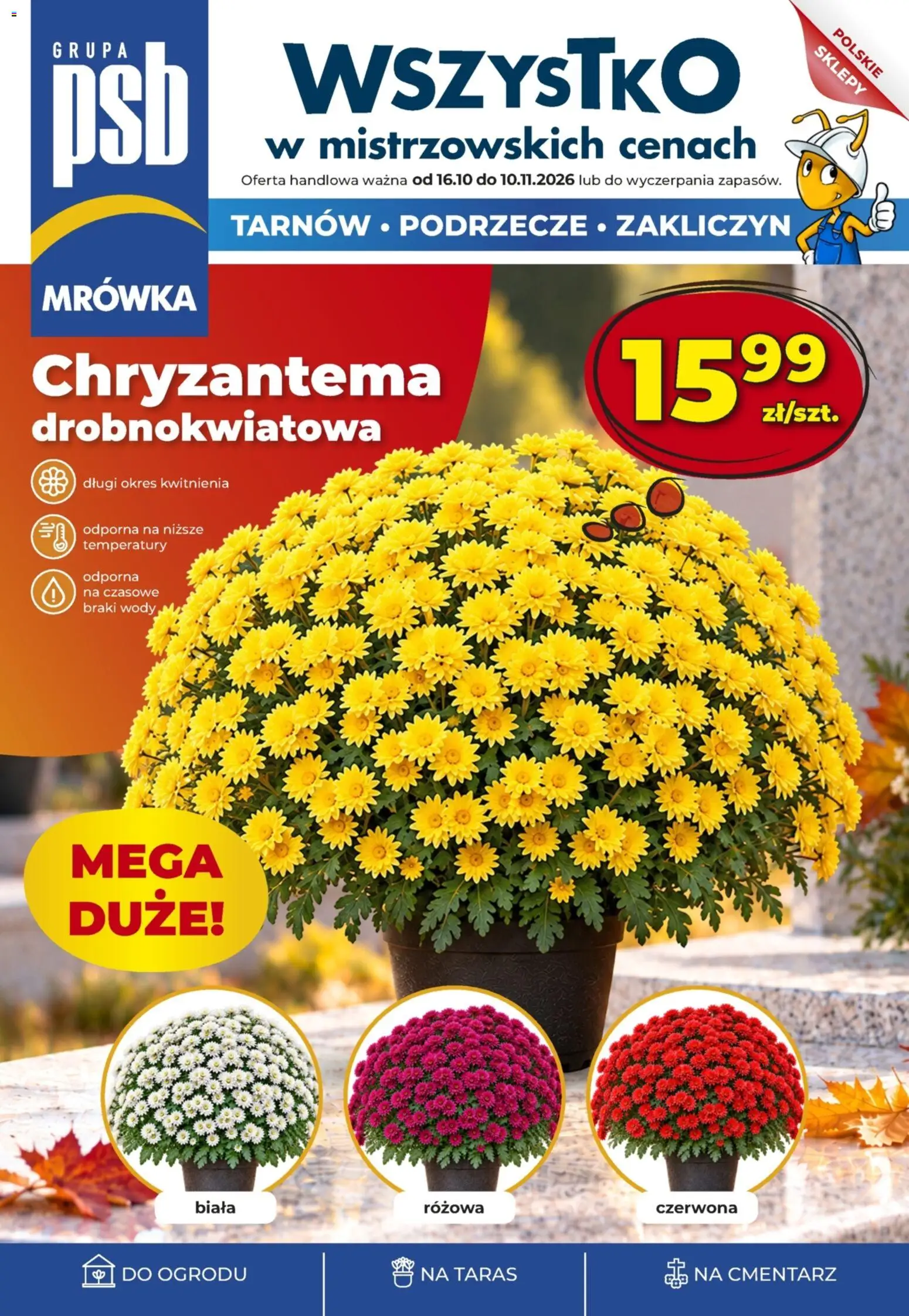 Mrówka gazetka od 16.10.2026 | Strona: 1