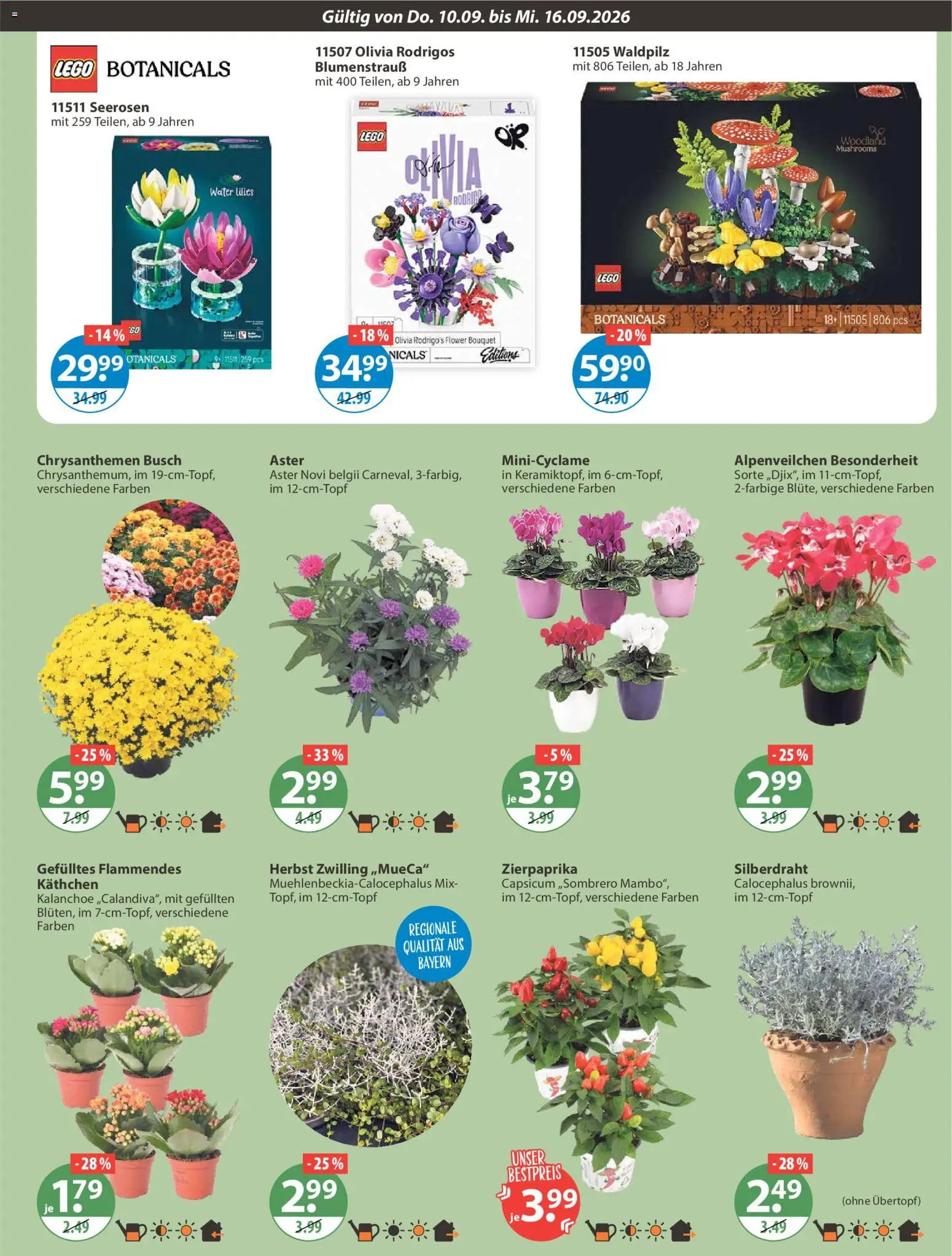V-Markt Angebote – gültig ab 10.09.2026 | Seite: 15