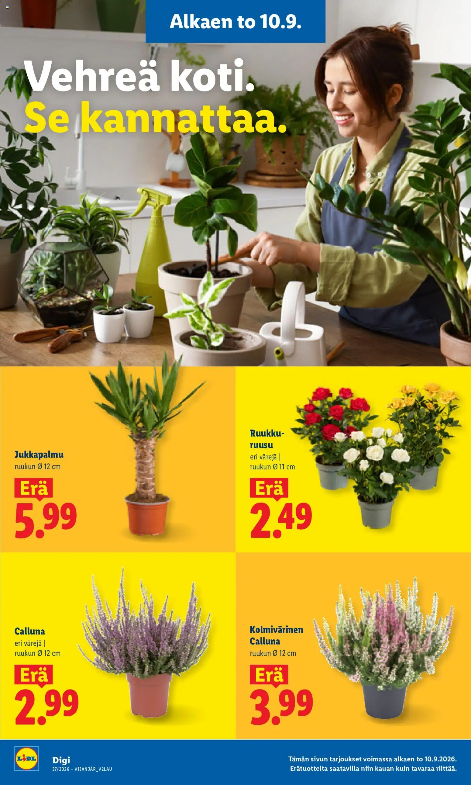 Lidl tarjoukset - Helsinki – voimassa 10/09/2026 alkaen | Sivu: 23