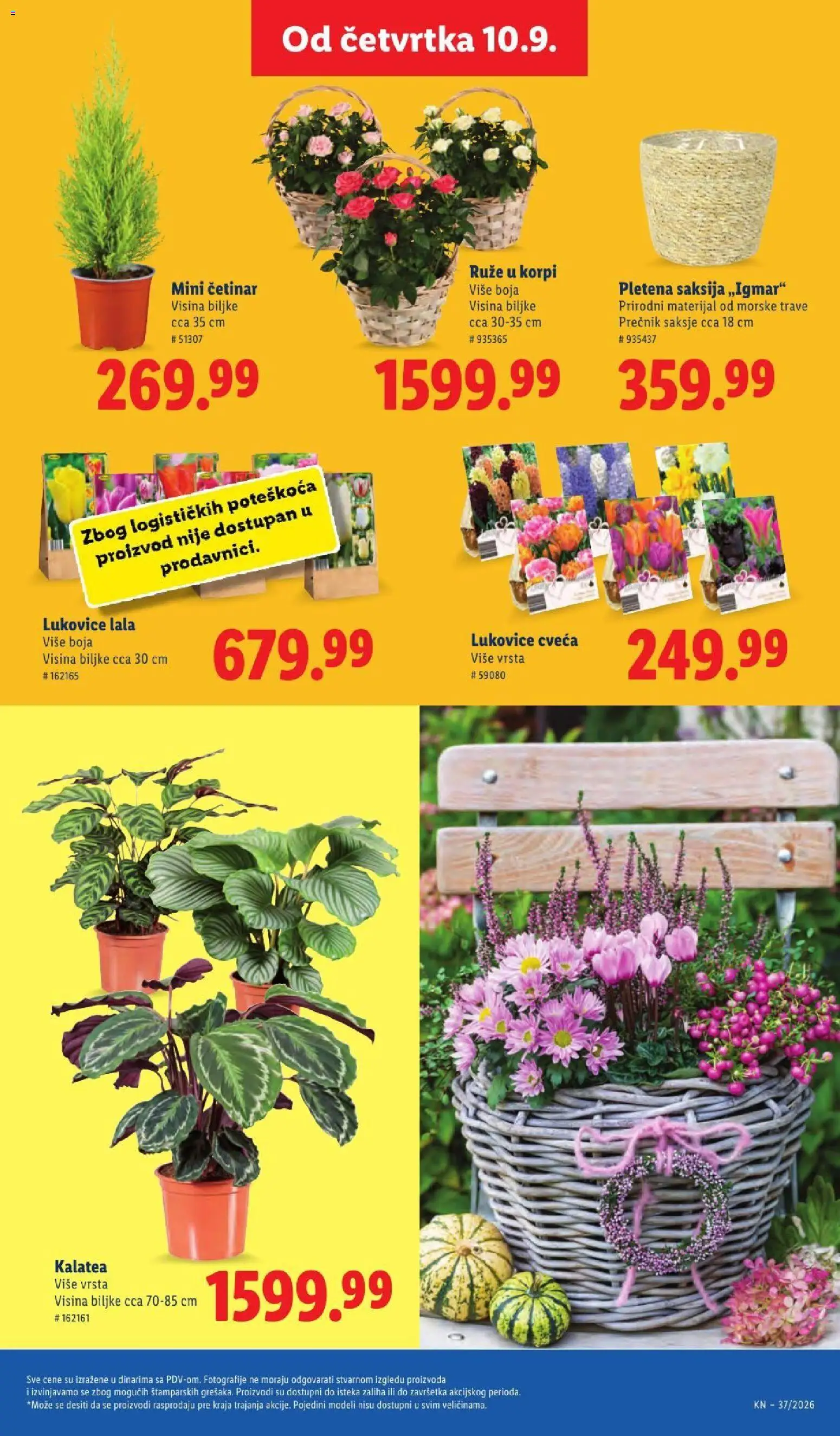 Lidl katalog - važi od 10.09.2026 | Strana: 63