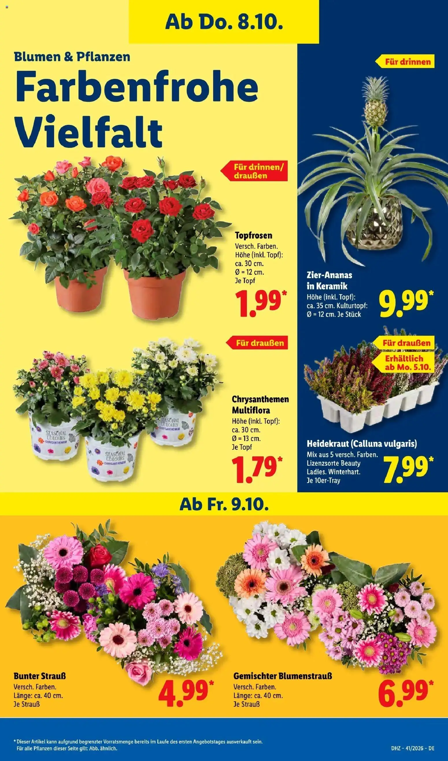 Lidl Prospekt Mahlow (ab 05.10.2026) zum Blättern » Angebote | Seite: 17 | Produkte: Blumen