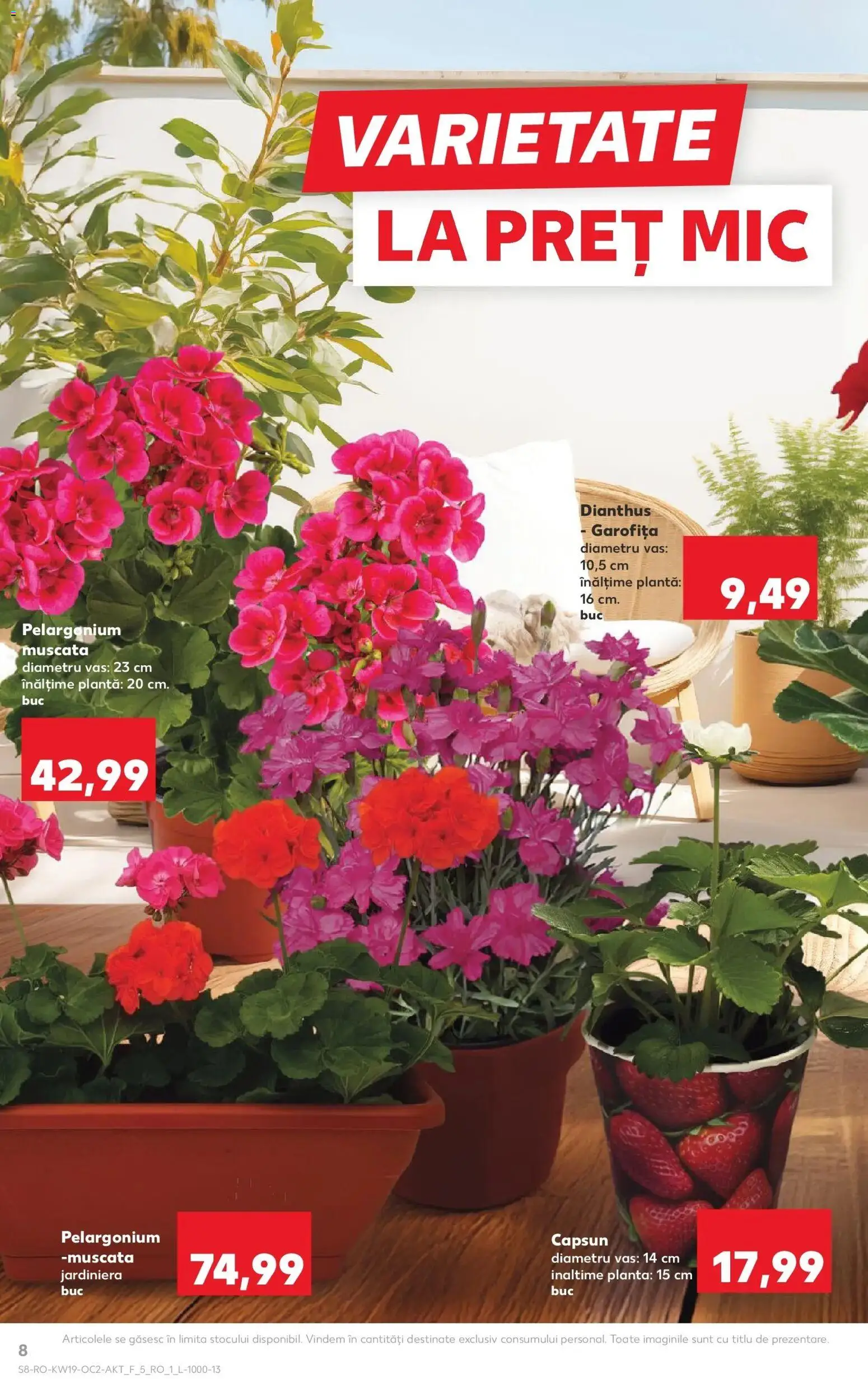 Noul catalog Kaufland – valabil de la 06.05.2026 | Pagină: 8
