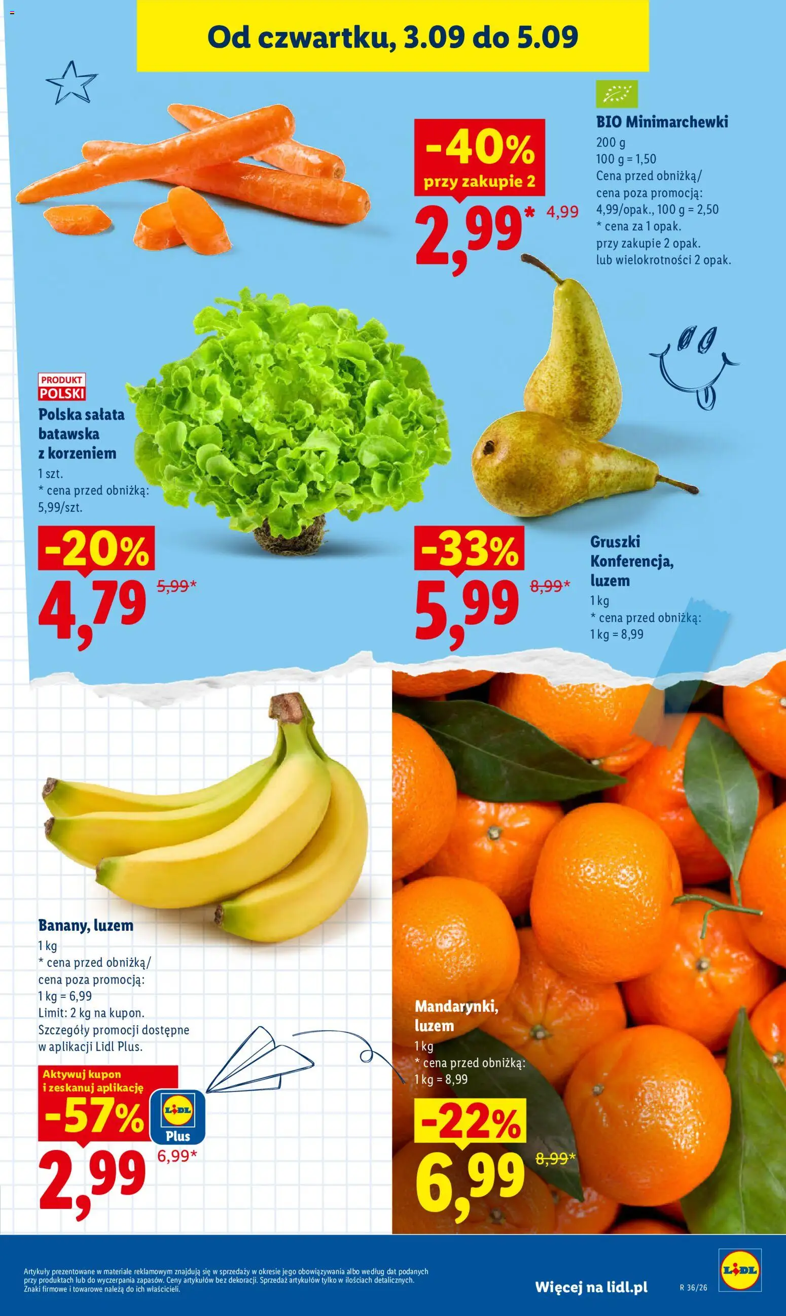 Lidl gazetka od 03.09.2026 | Strona: 45