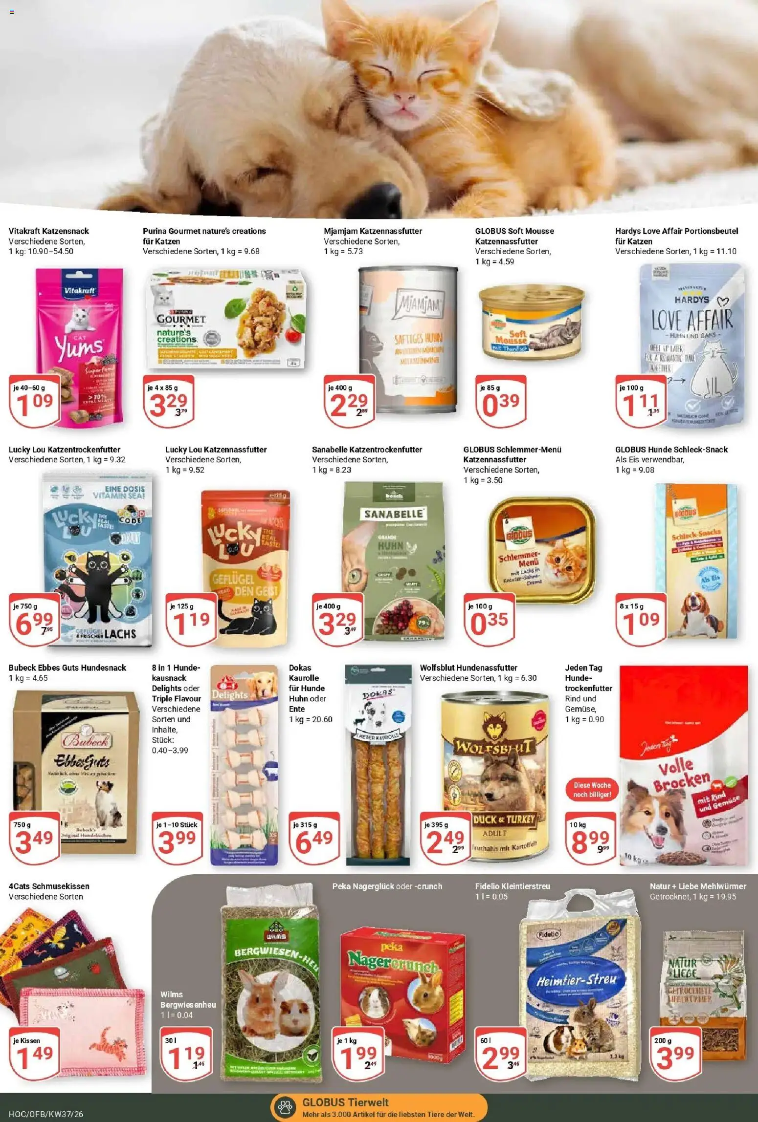 Globus Prospekt Hockenheim – gültig ab 07.09.2026 | Seite: 25 | Produkte: Bosch, Liege, Lachs, Ente