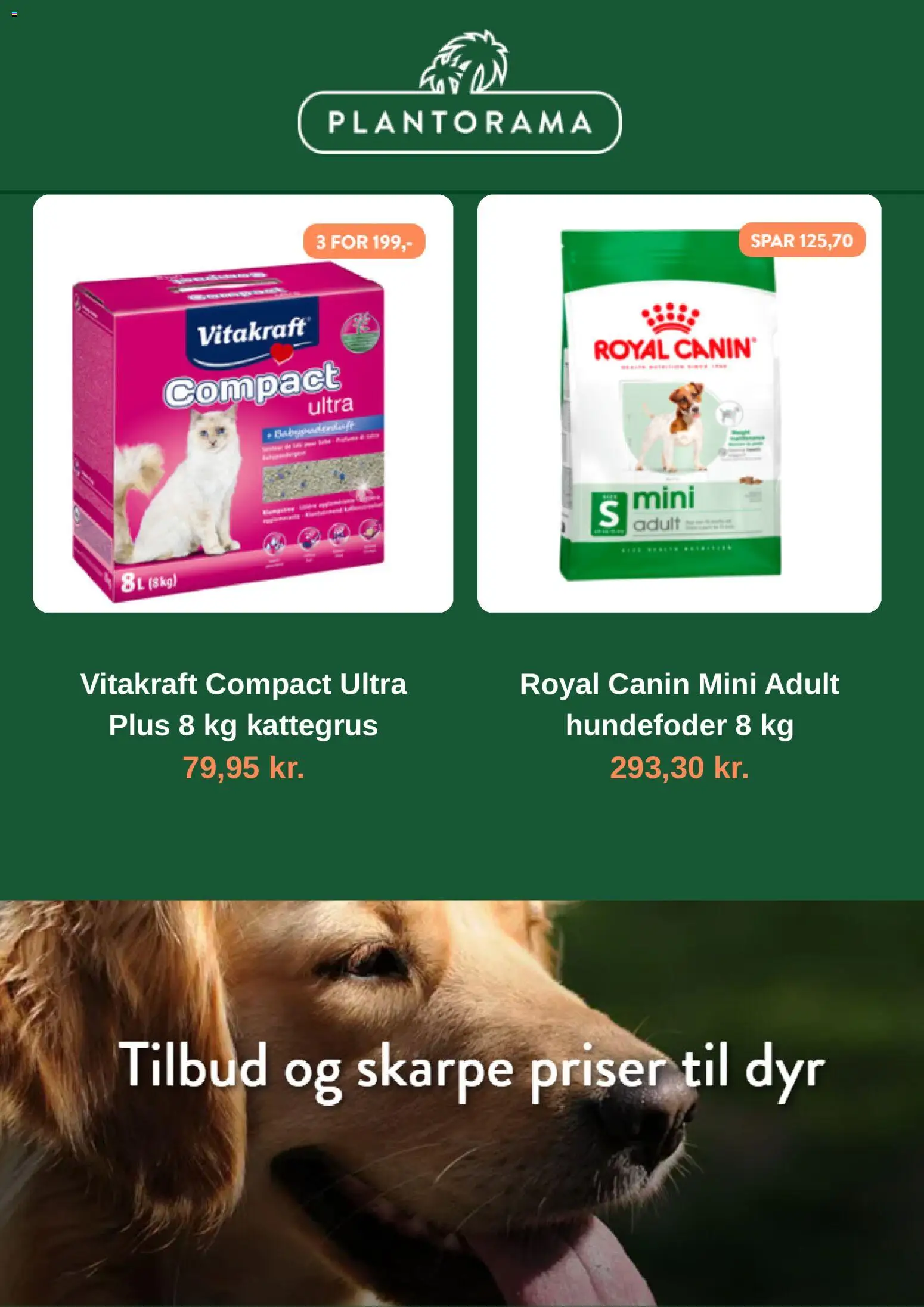 Plantorama tilbudsavis – gyldig fra 29/09/2026 | Side: 3