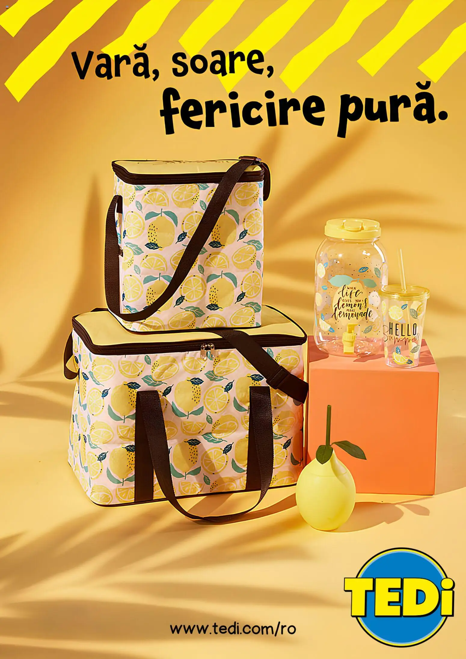 Noul catalog TEDi – valabil de la 30.07.2026 | Pagină: 1