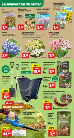 Thomas Philipps Prospekt ab 07.09.2026 gültig | Seite: 4 | Produkte: Bosch, Rindenmulch, Zwiebeln, Ladegerät