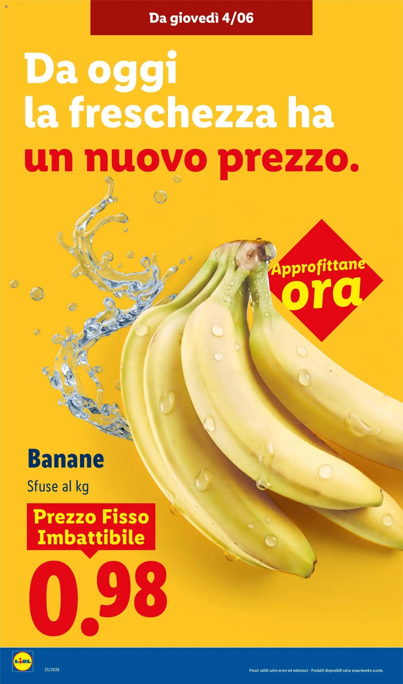 Volantino Lidl del 04.06.2026 | Pagina: 4