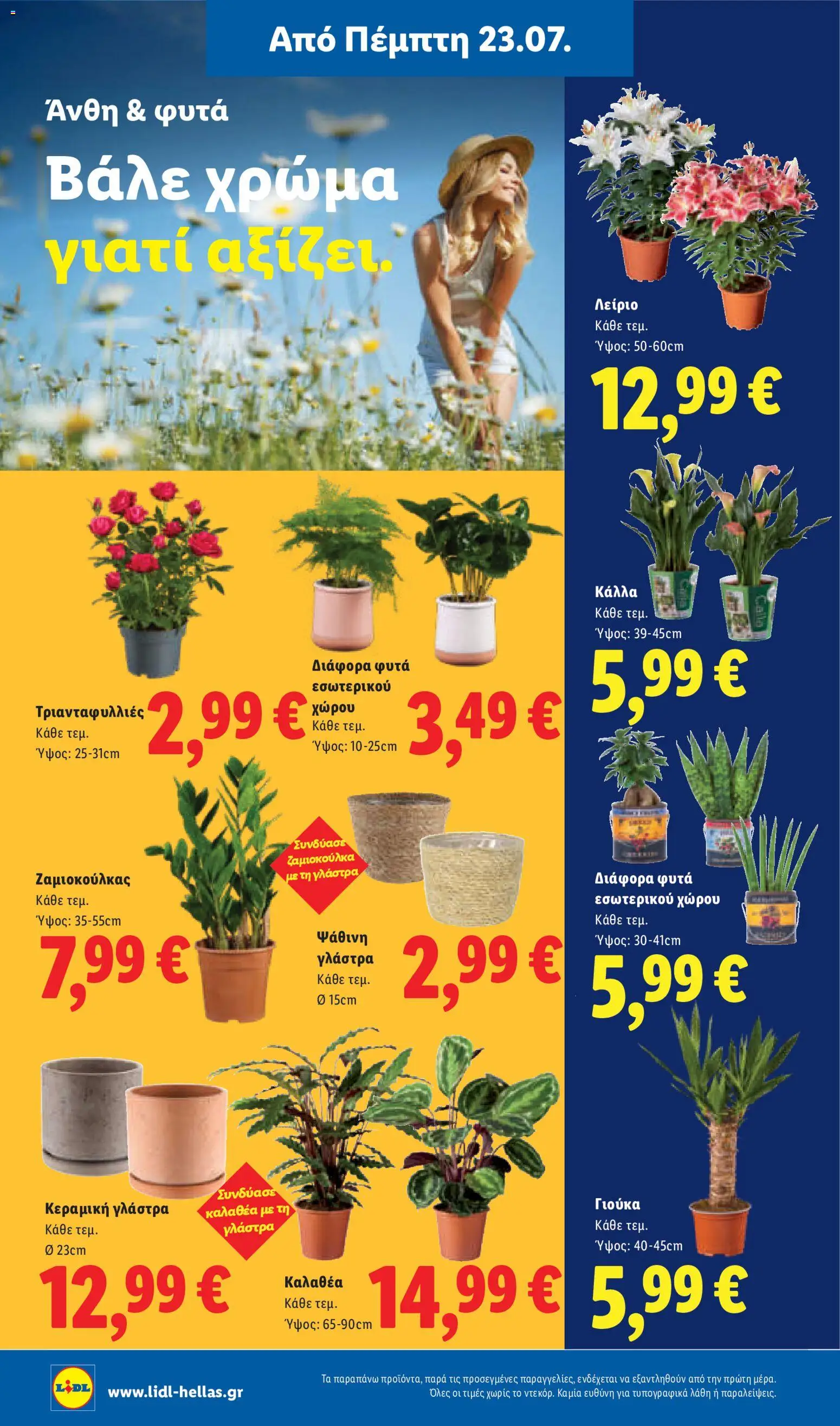 Φυλλάδιο Lidl από 23/07/2026 — page 39