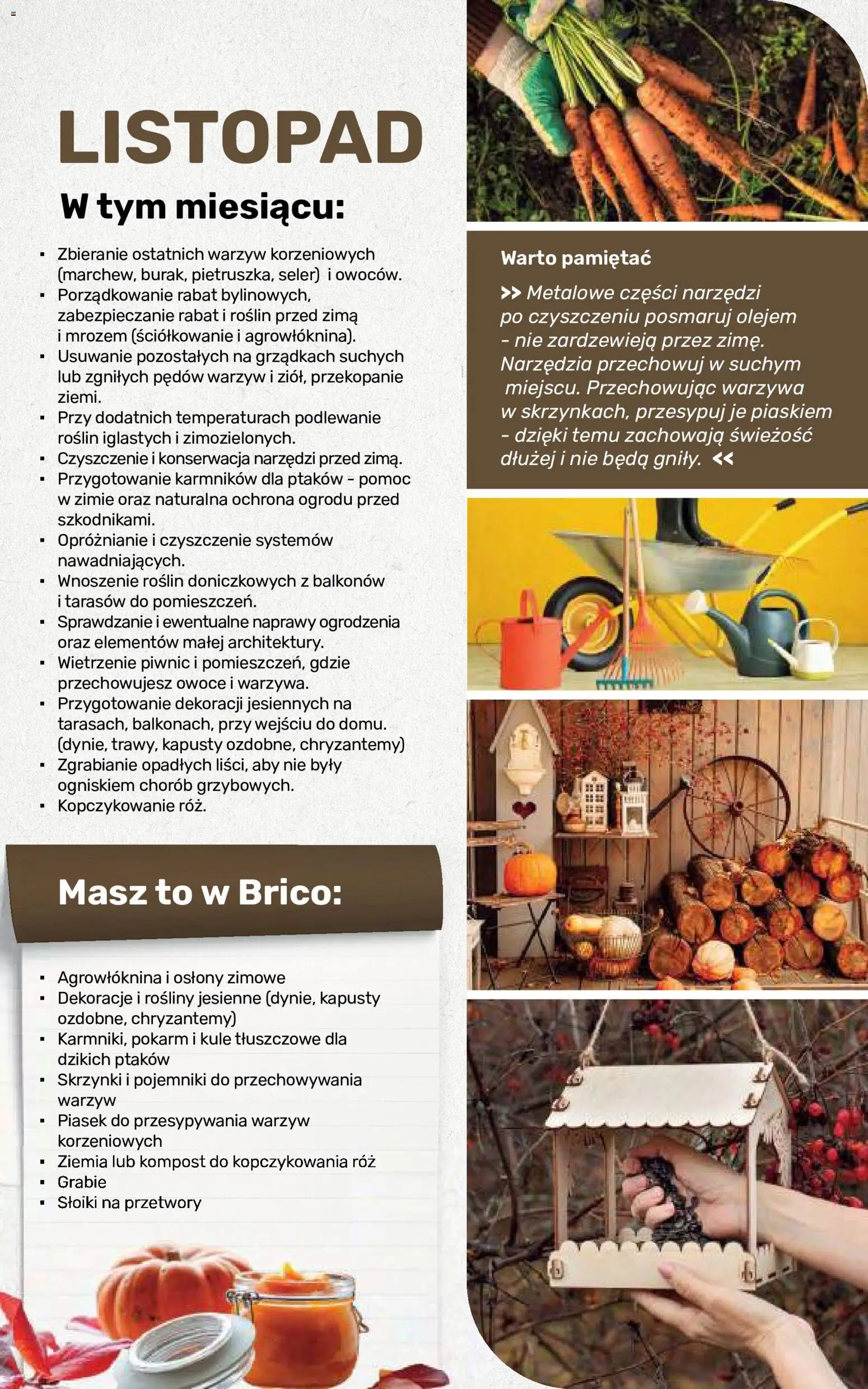 Brico Marché gazetka - Jesienne Inspiracje od 17.08.2026 | Strona: 110 | Produkty: Przetwory, Ziemia, Słoiki na przetwory, Owoce
