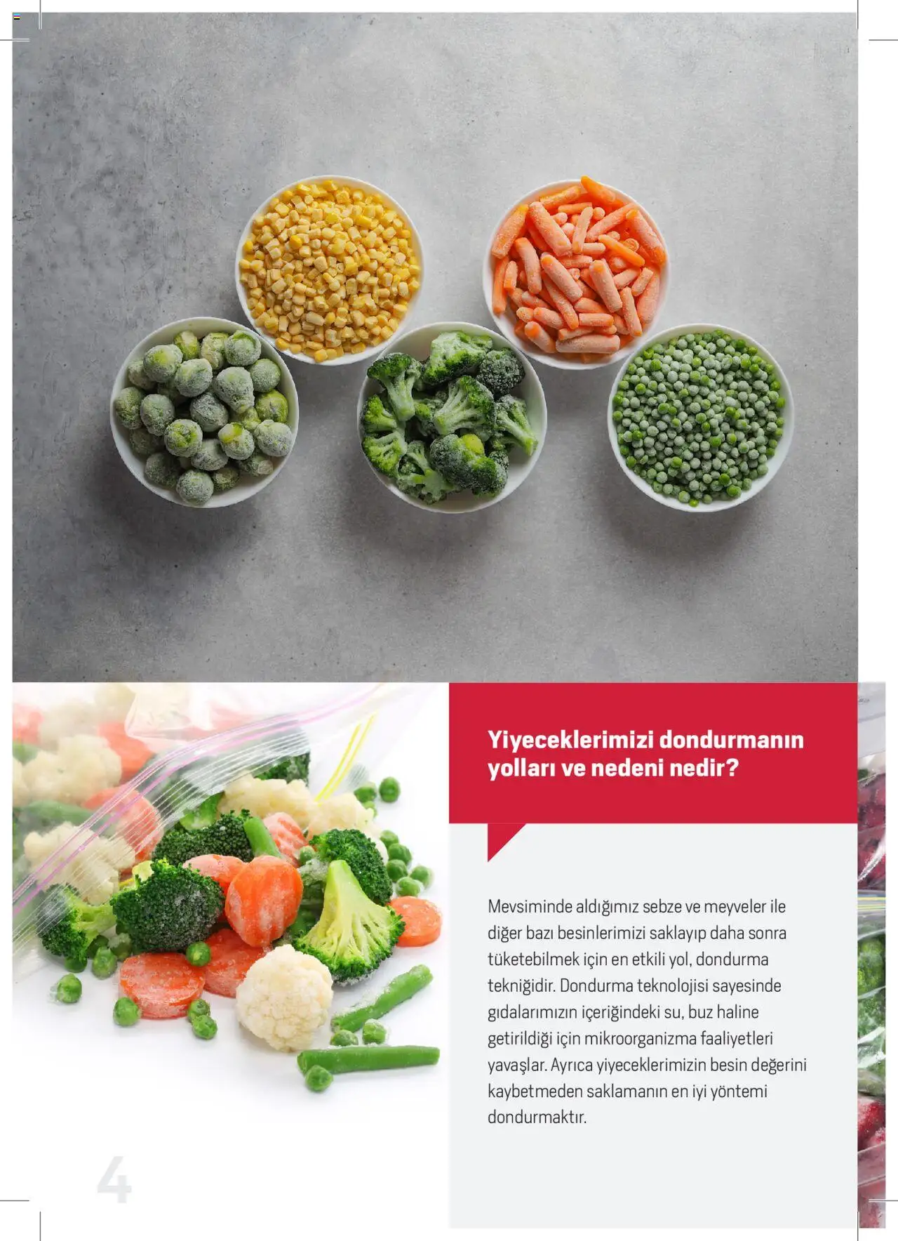 Arçelik Katalog - Dondurucu Kullanımında Püf Noktaları - 16.03.2023 tarihinden itibaren geçerlidir | Sayfa: 4